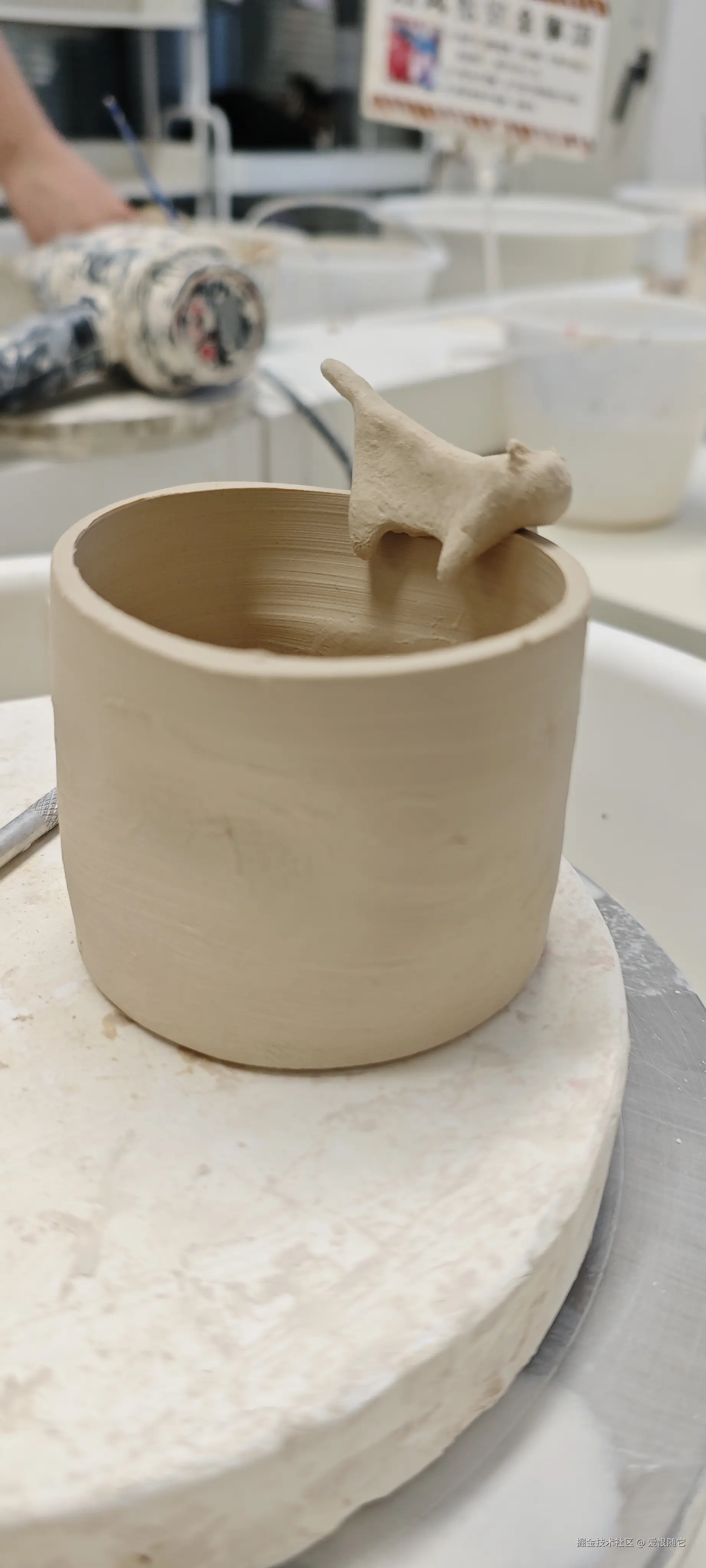 爱恨随它于2025-04-13 18:21发布的图片