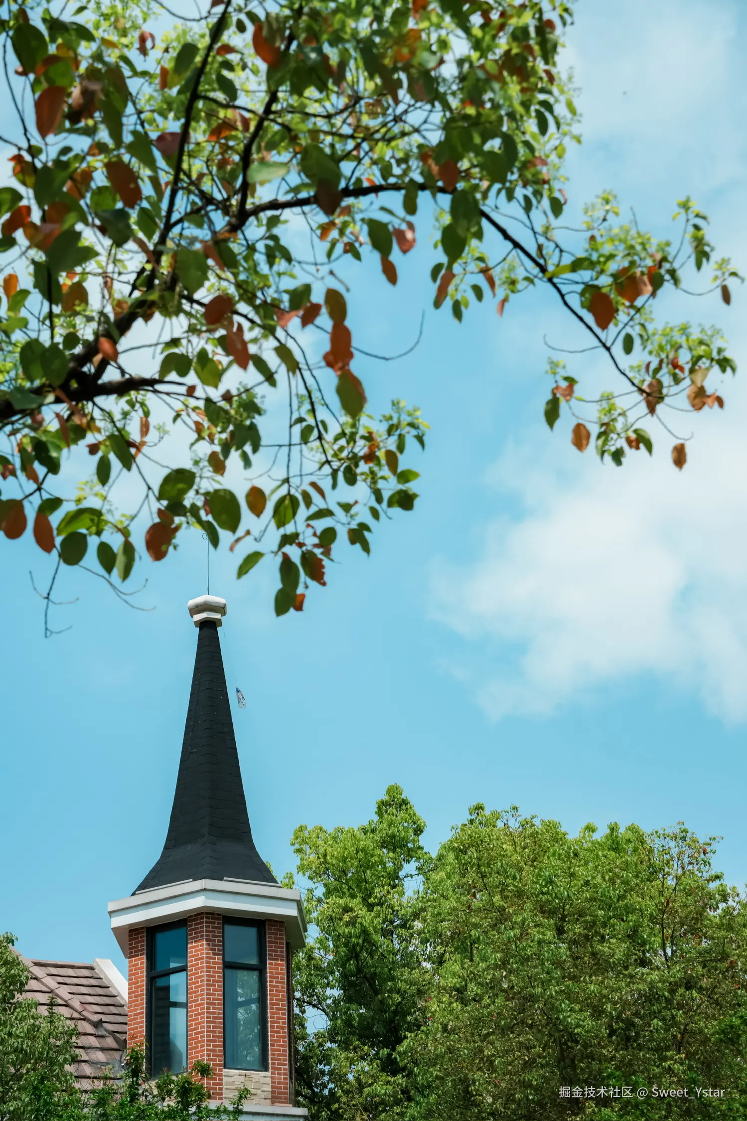 Sweet_Ystar于2026-04-18 09:55发布的图片