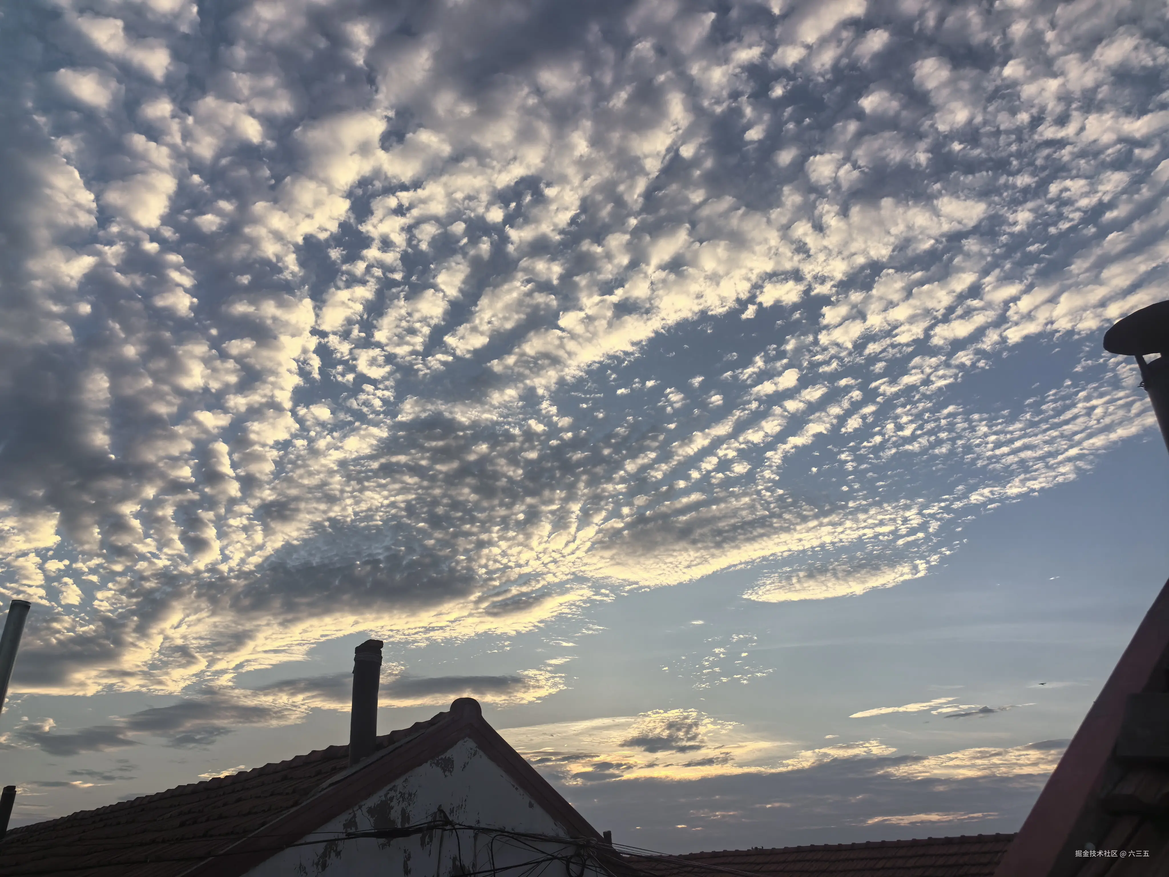 六三五于2024-07-28 18:58发布的图片