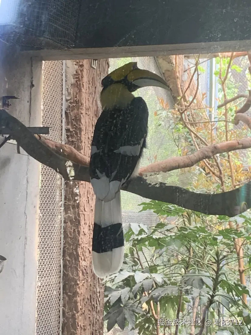 君83712于2025-05-08 23:16发布的图片