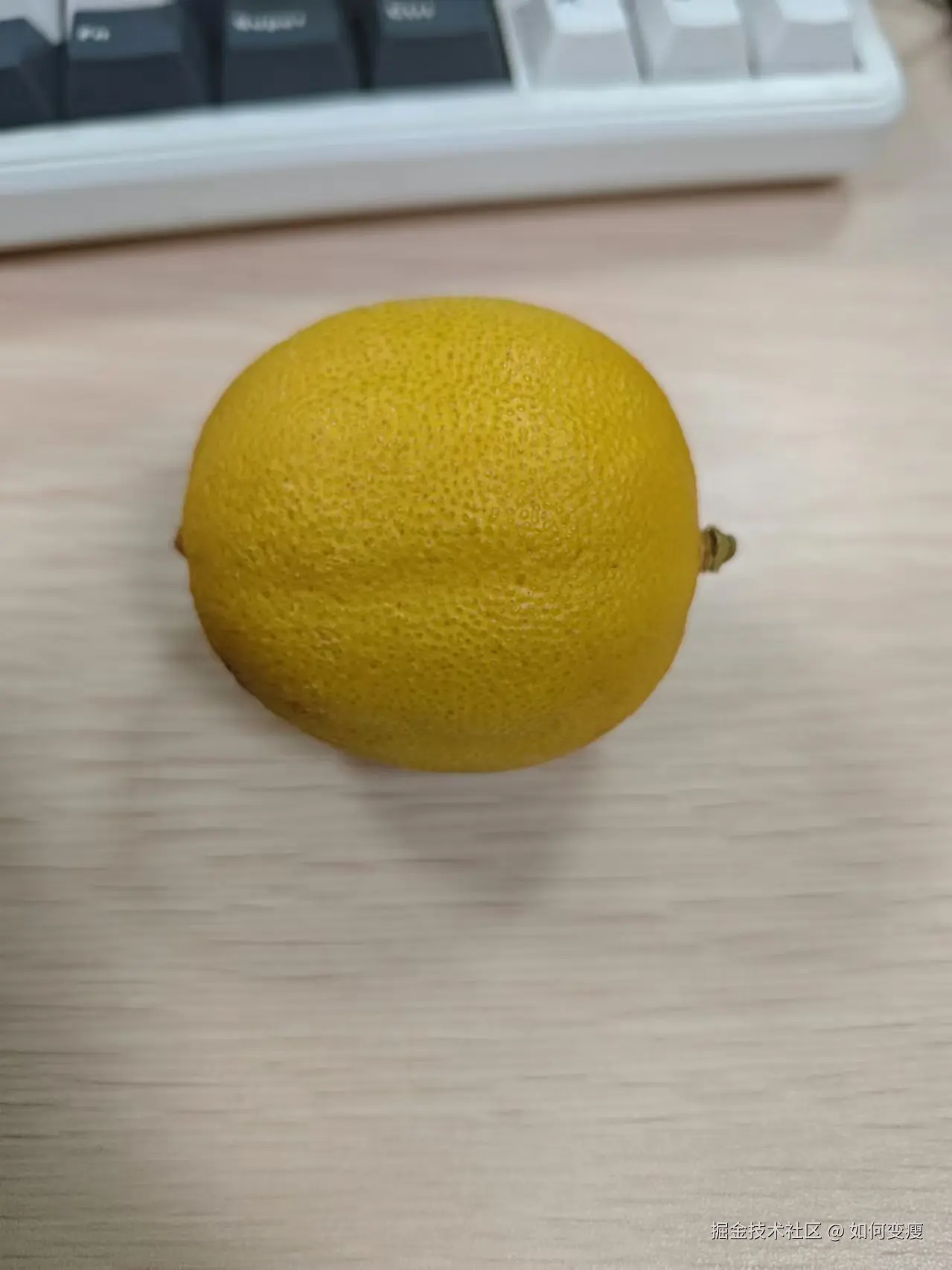 如何变瘦于2024-12-03 20:27发布的图片