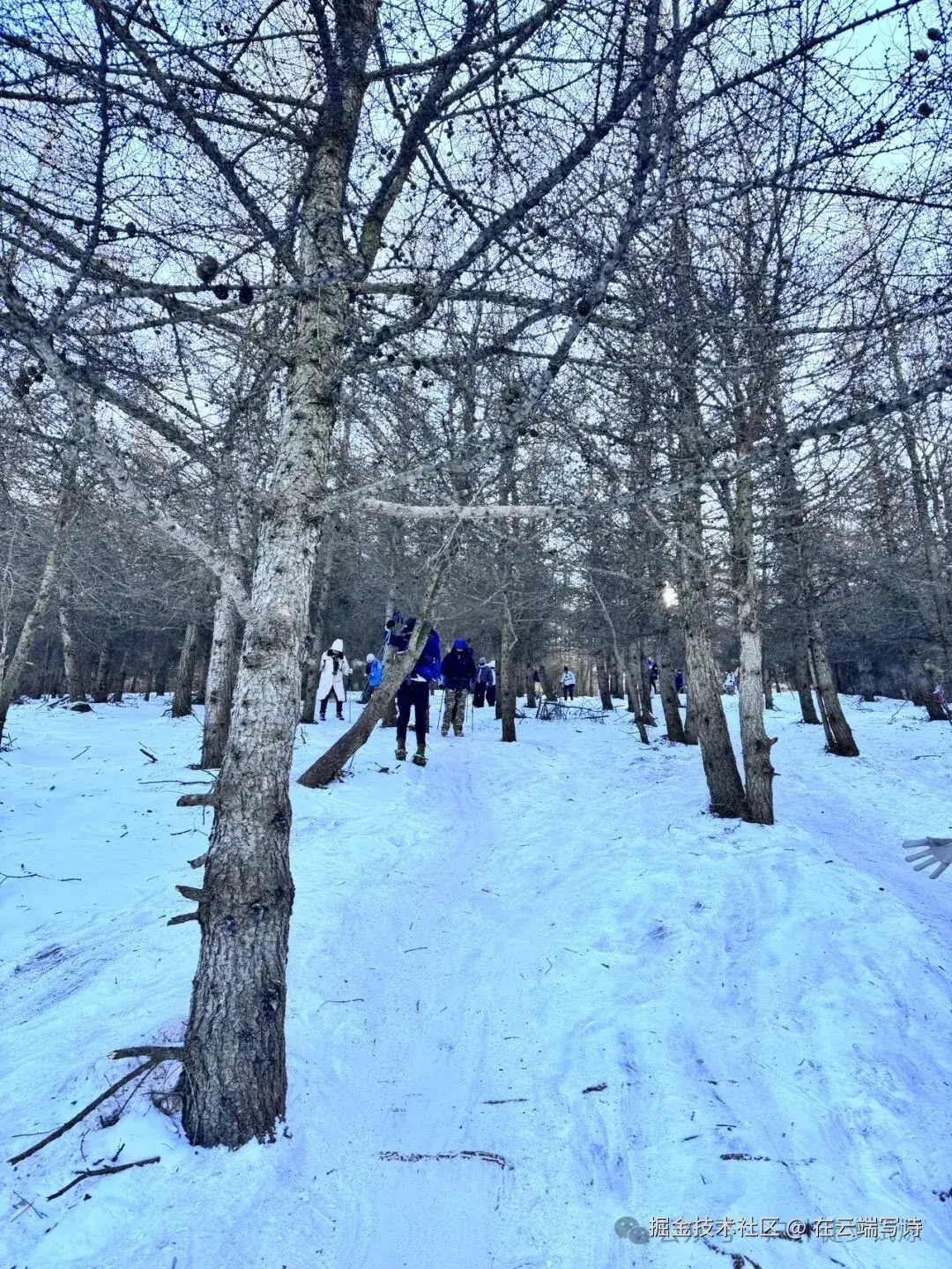 在云端写诗于2026-01-04 02:40发布的图片