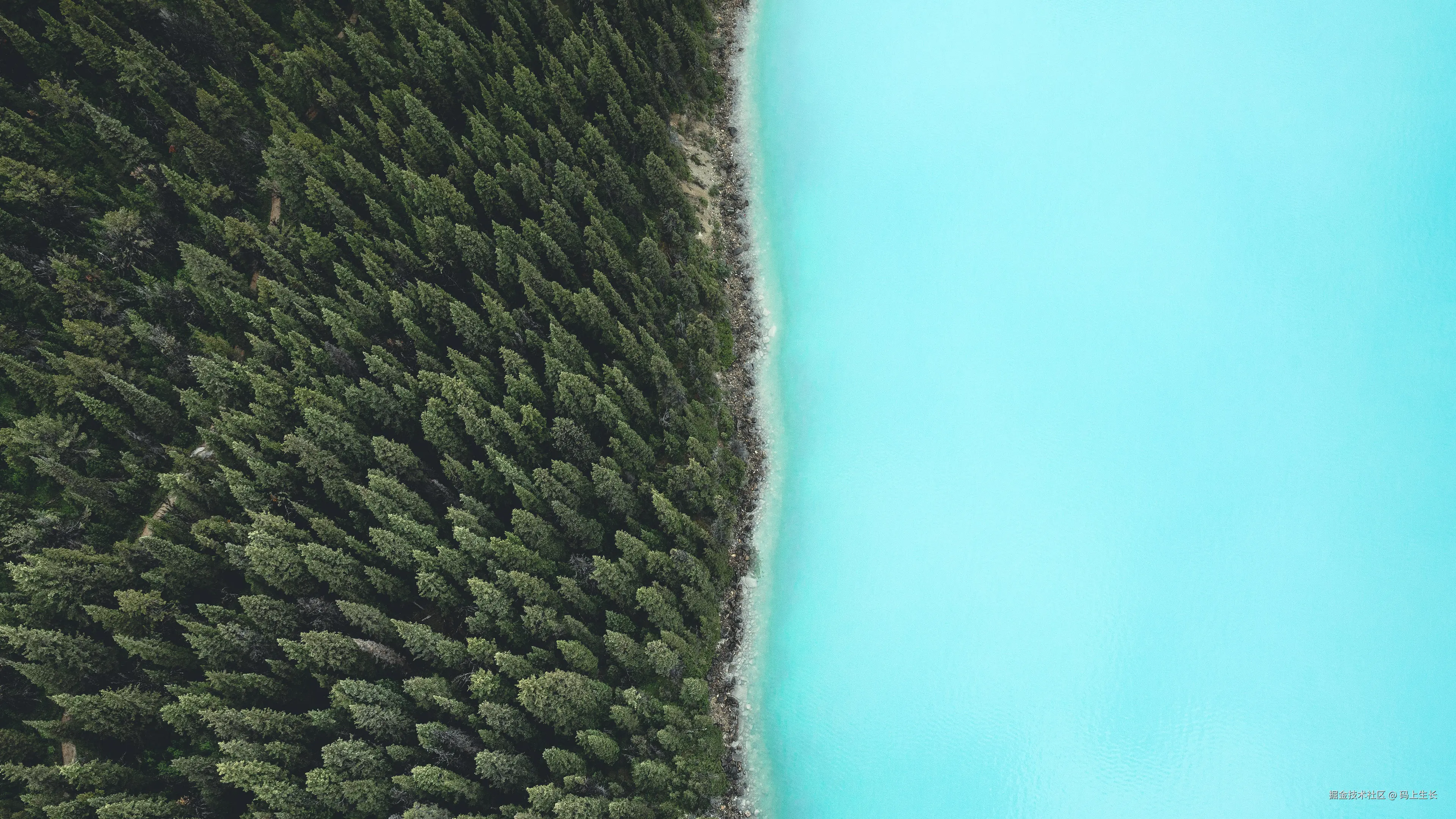 项目管理：问题探讨与解决方案