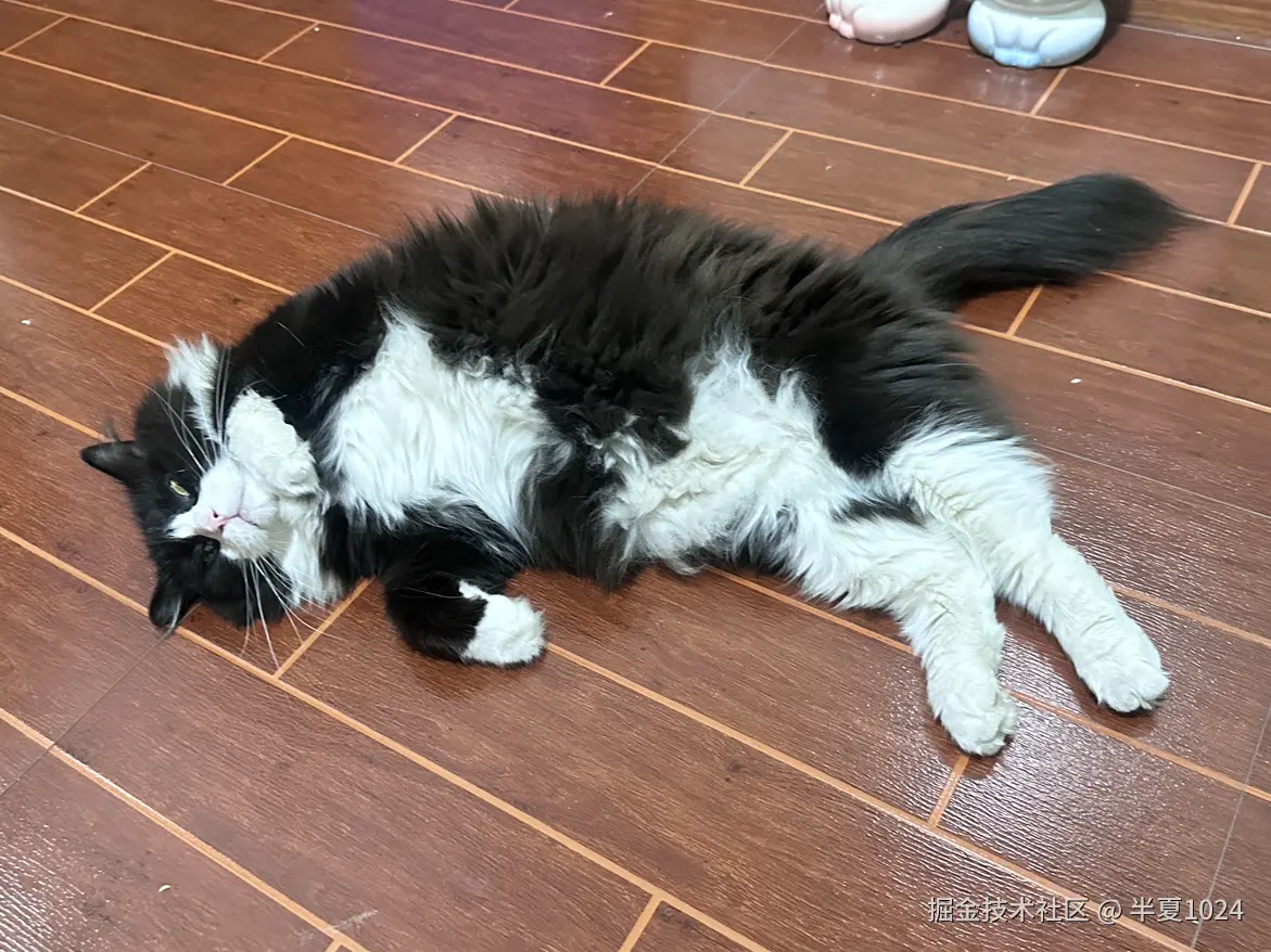 半夏1024于2024-07-30 11:09发布的图片