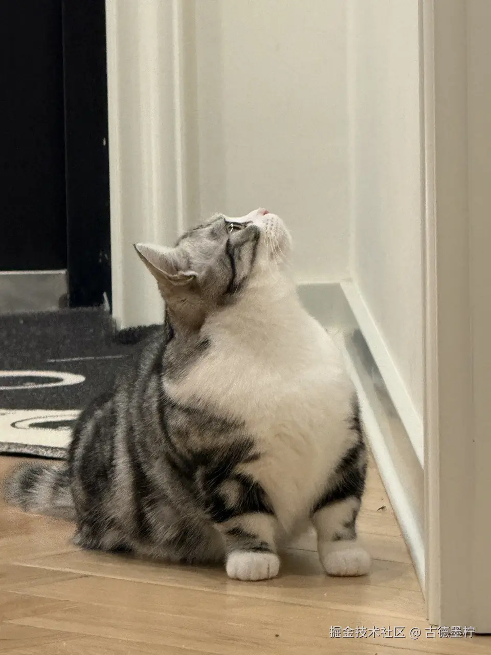 古德墨柠于2026-03-23 14:29发布的图片