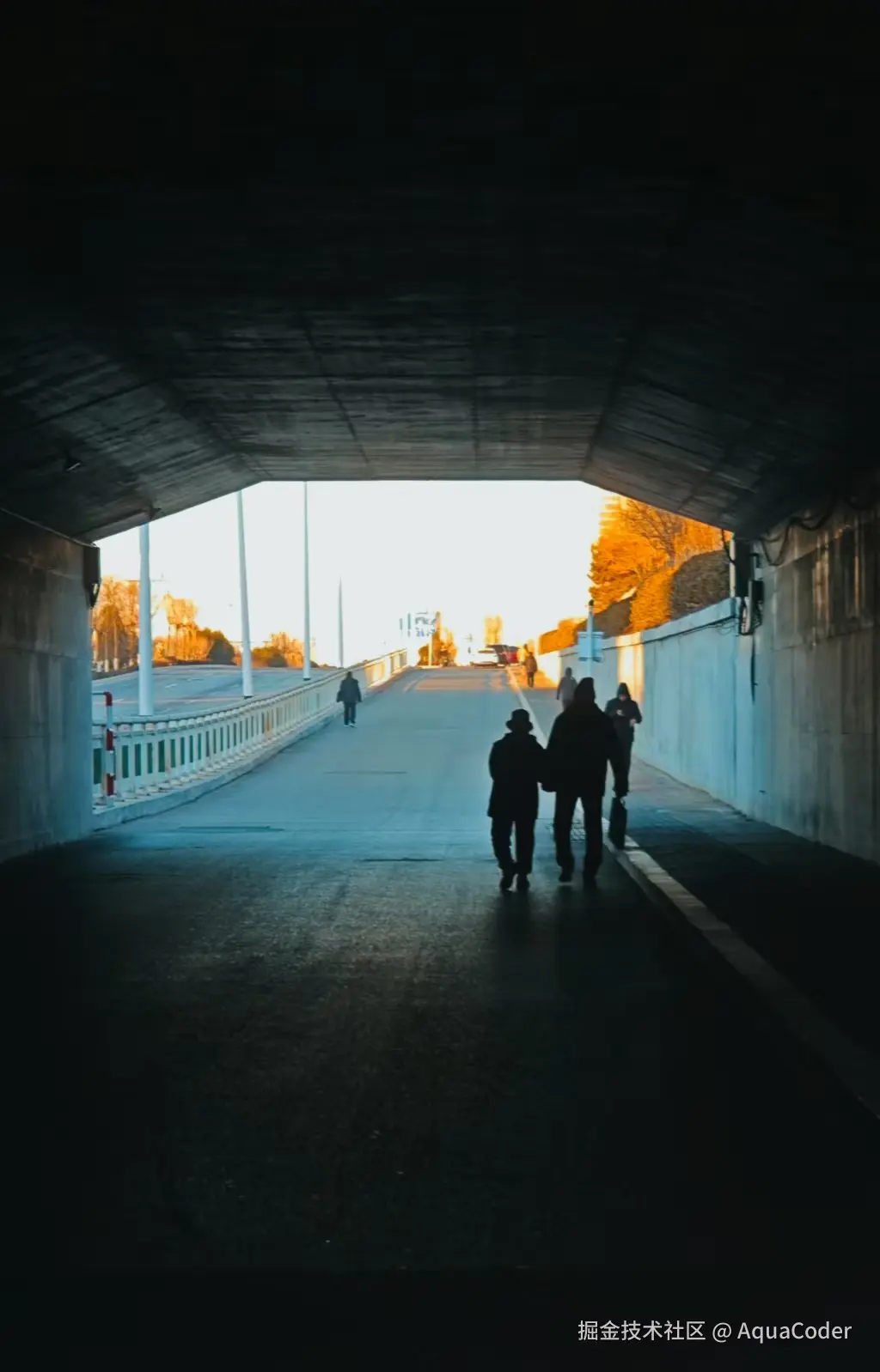 AquaCoder于2025-01-07 08:54发布的图片