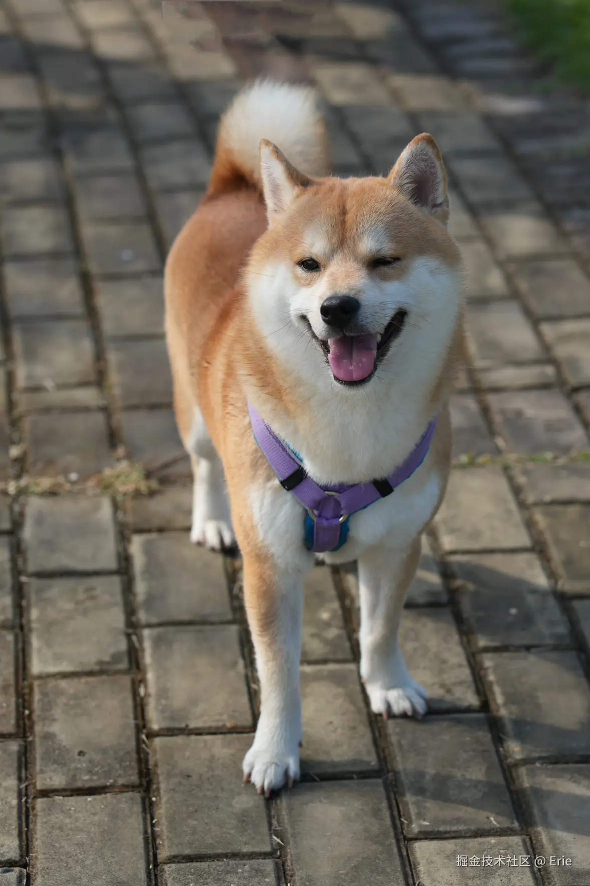 Erie于2025-11-18 00:30发布的图片