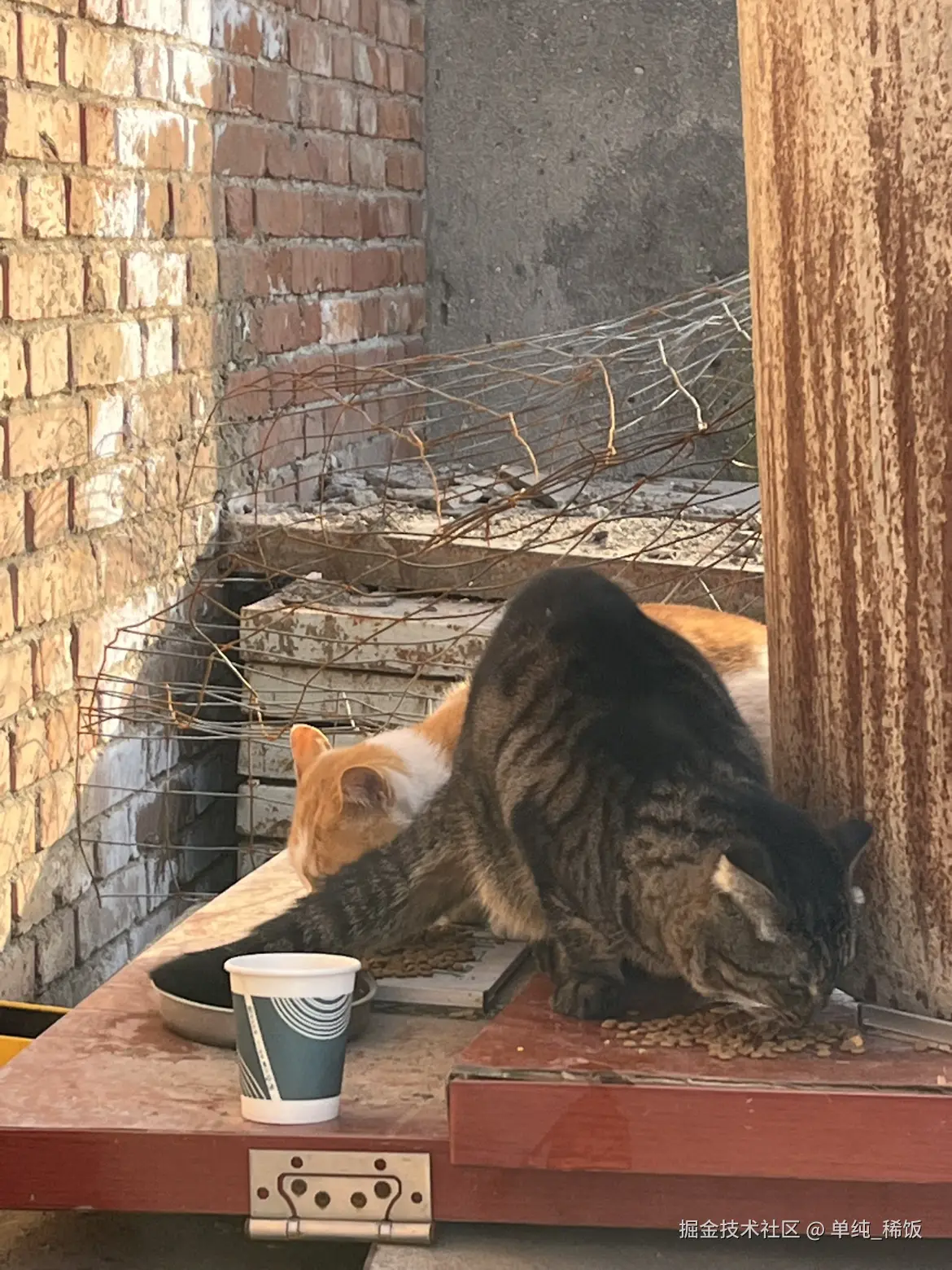 单纯_稀饭于2025-11-26 09:05发布的图片