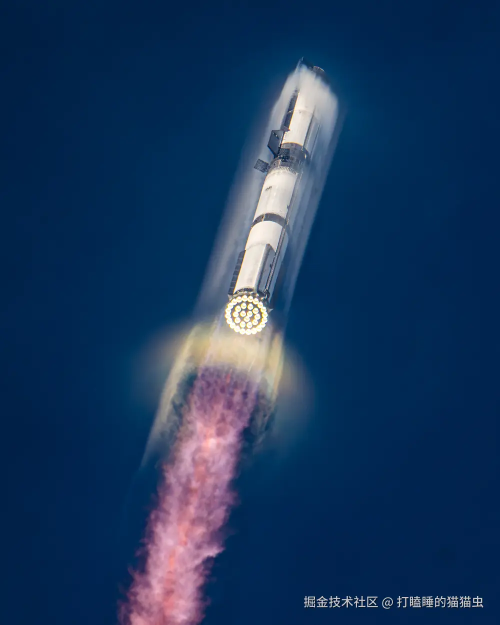 打瞌睡的猫猫虫于2025-08-27 09:36发布的图片