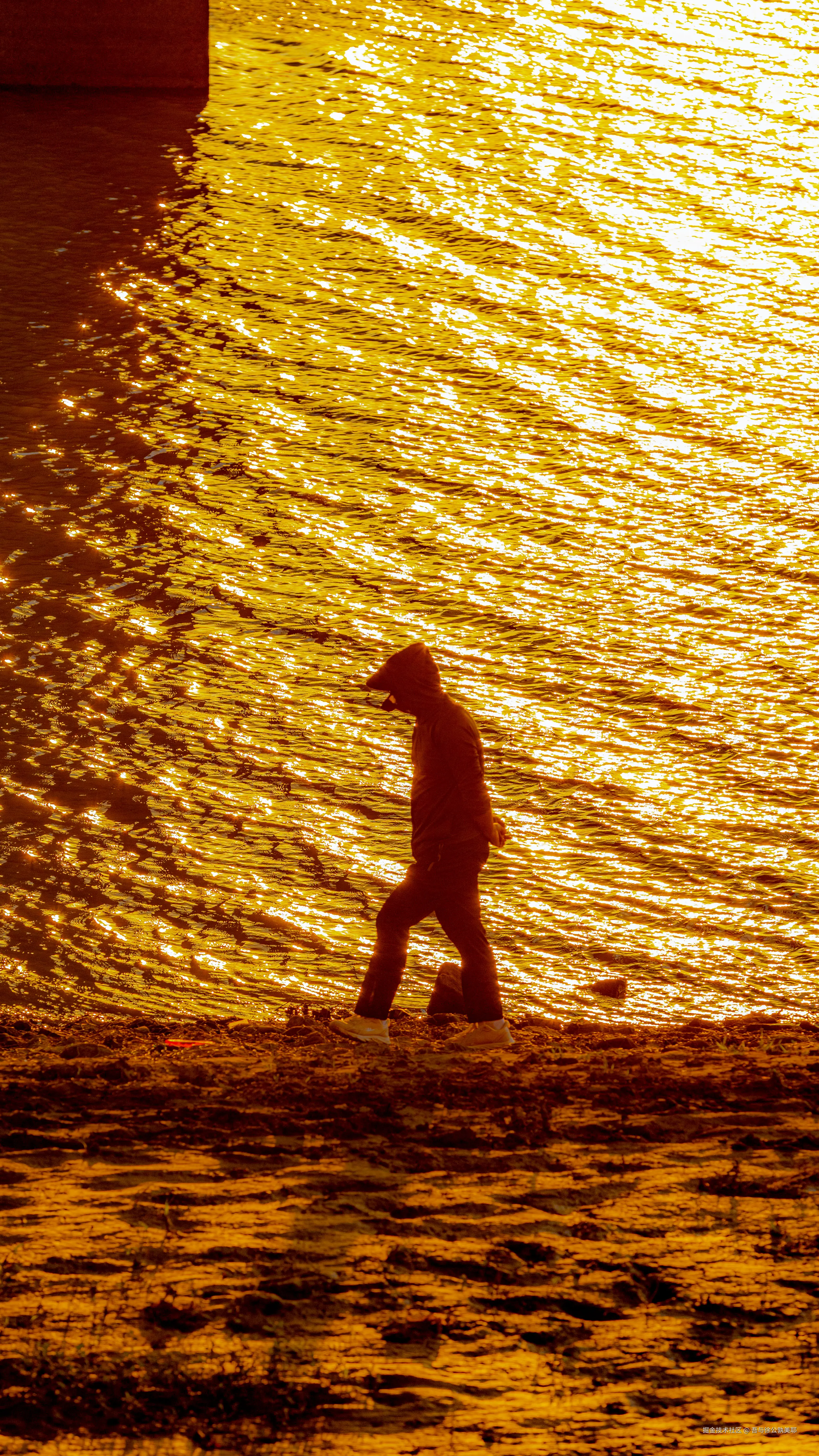 吾与徐公孰美耶于2024-09-26 09:49发布的图片