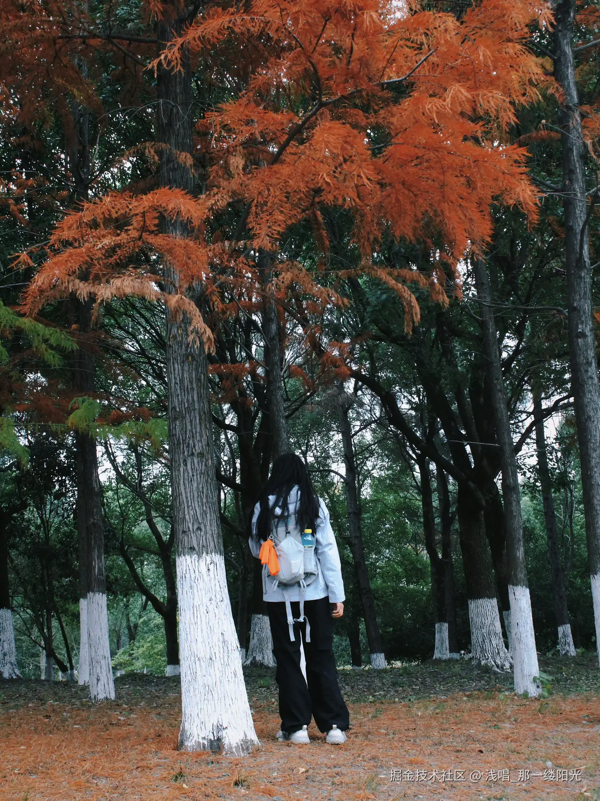 浅唱_那一缕阳光于2025-12-25 11:19发布的图片