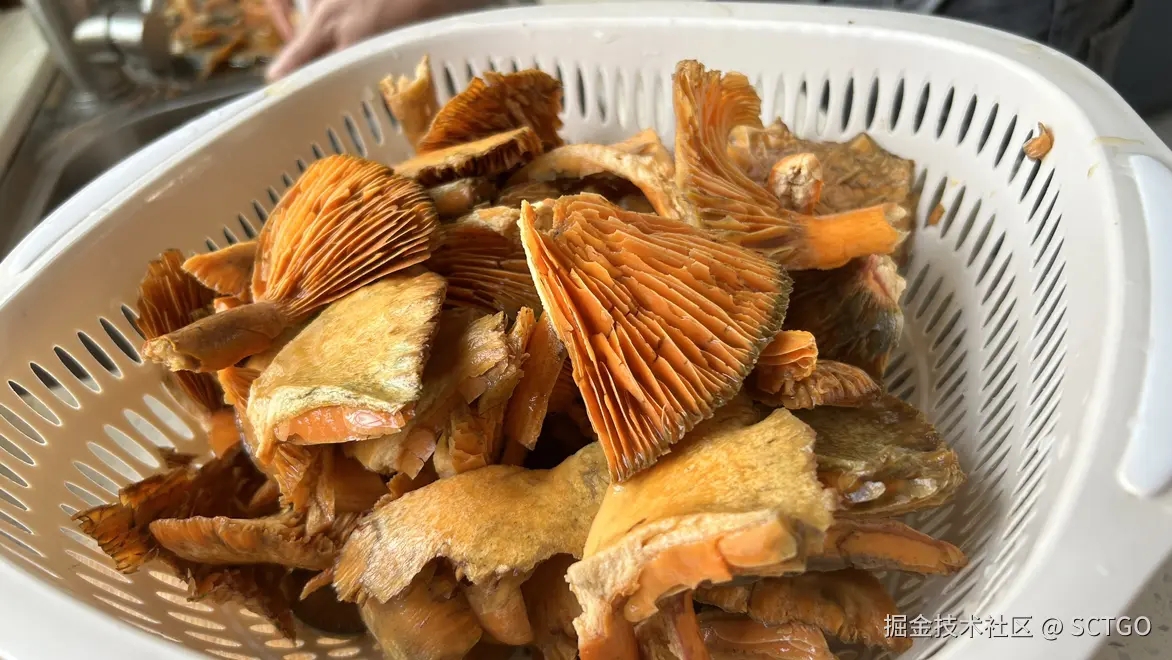 SCTGO于2024-09-09 07:16发布的图片