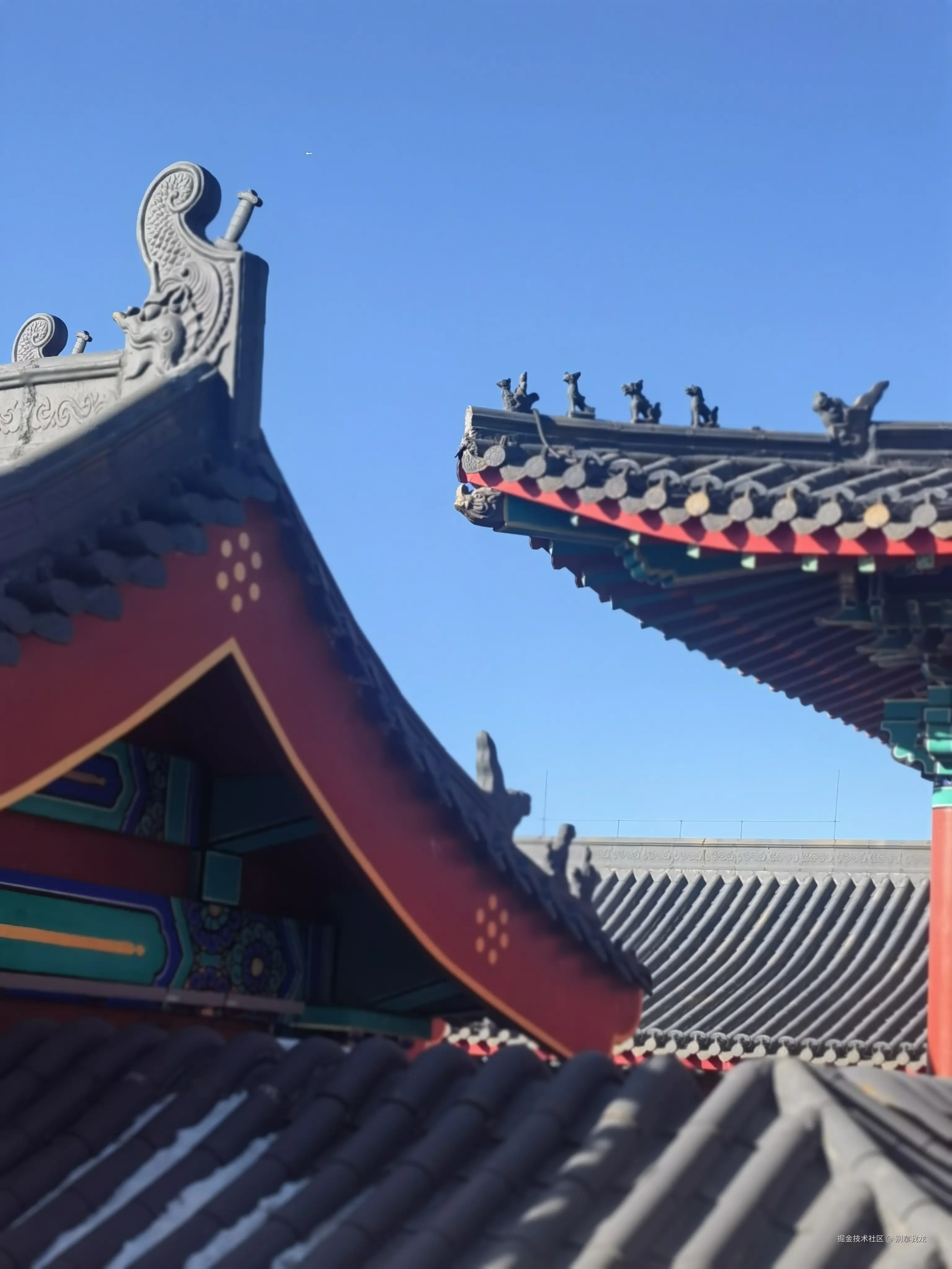 别拿我龙于2025-01-21 03:58发布的图片