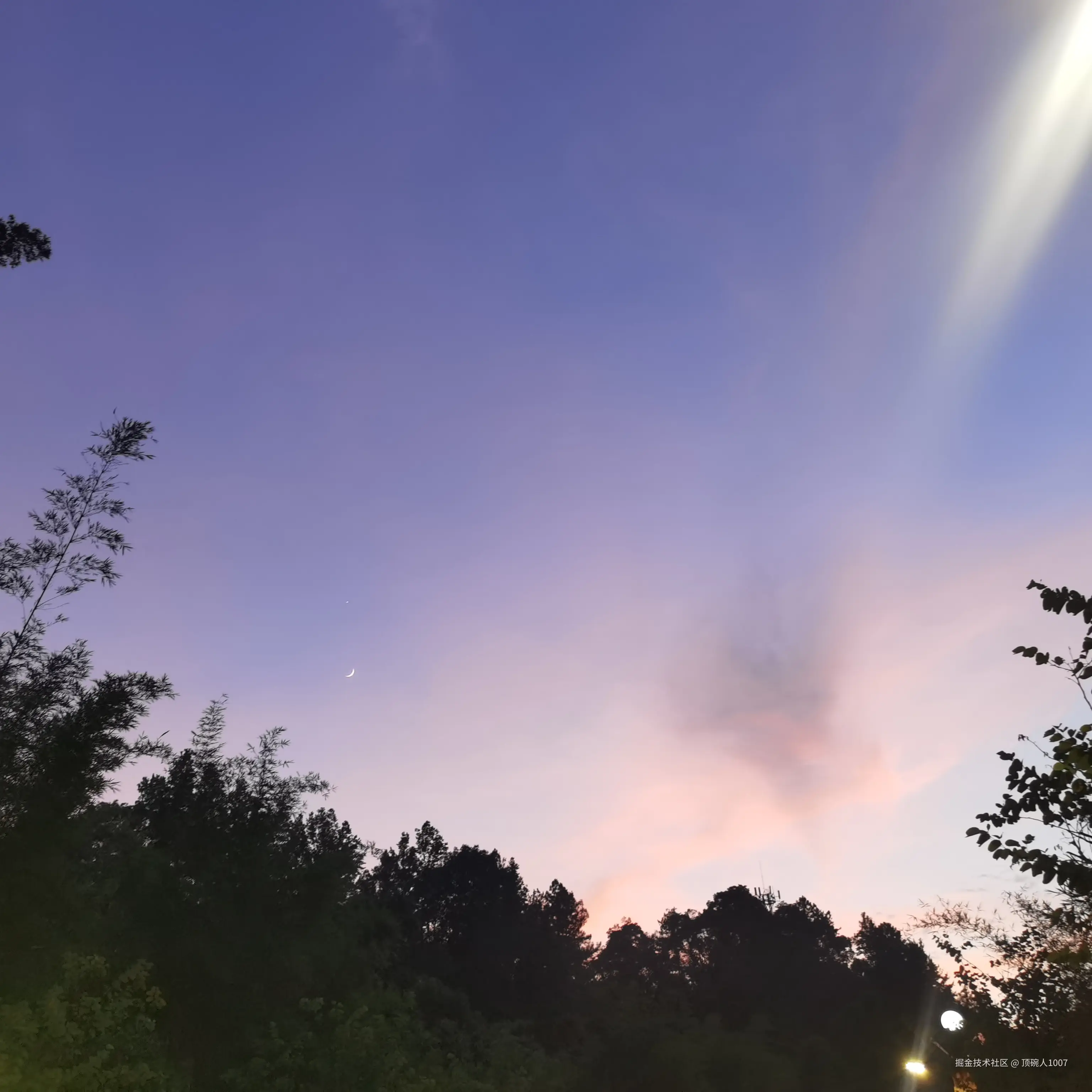 顶碗人1007于2026-07-18 05:20发布的图片