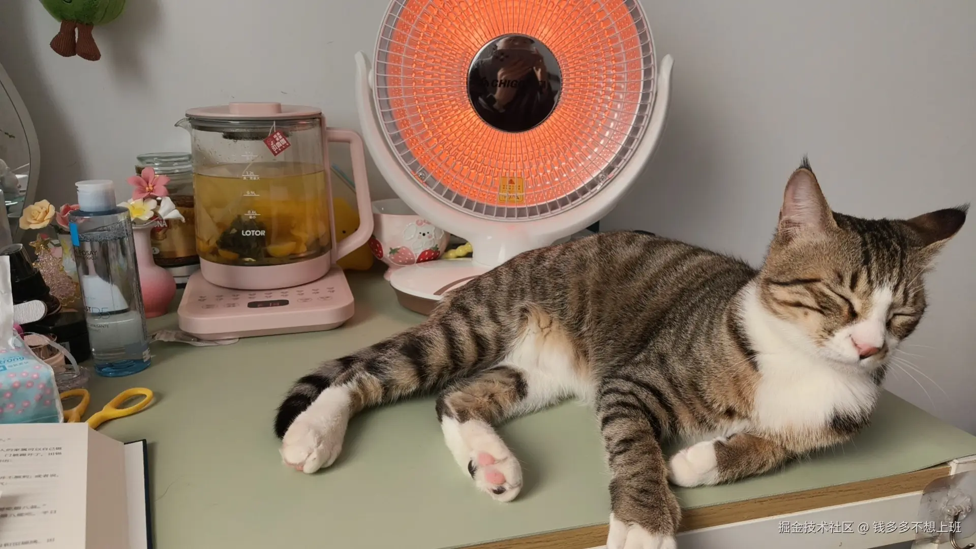 钱多多不想上班于2026-01-13 01:27发布的图片