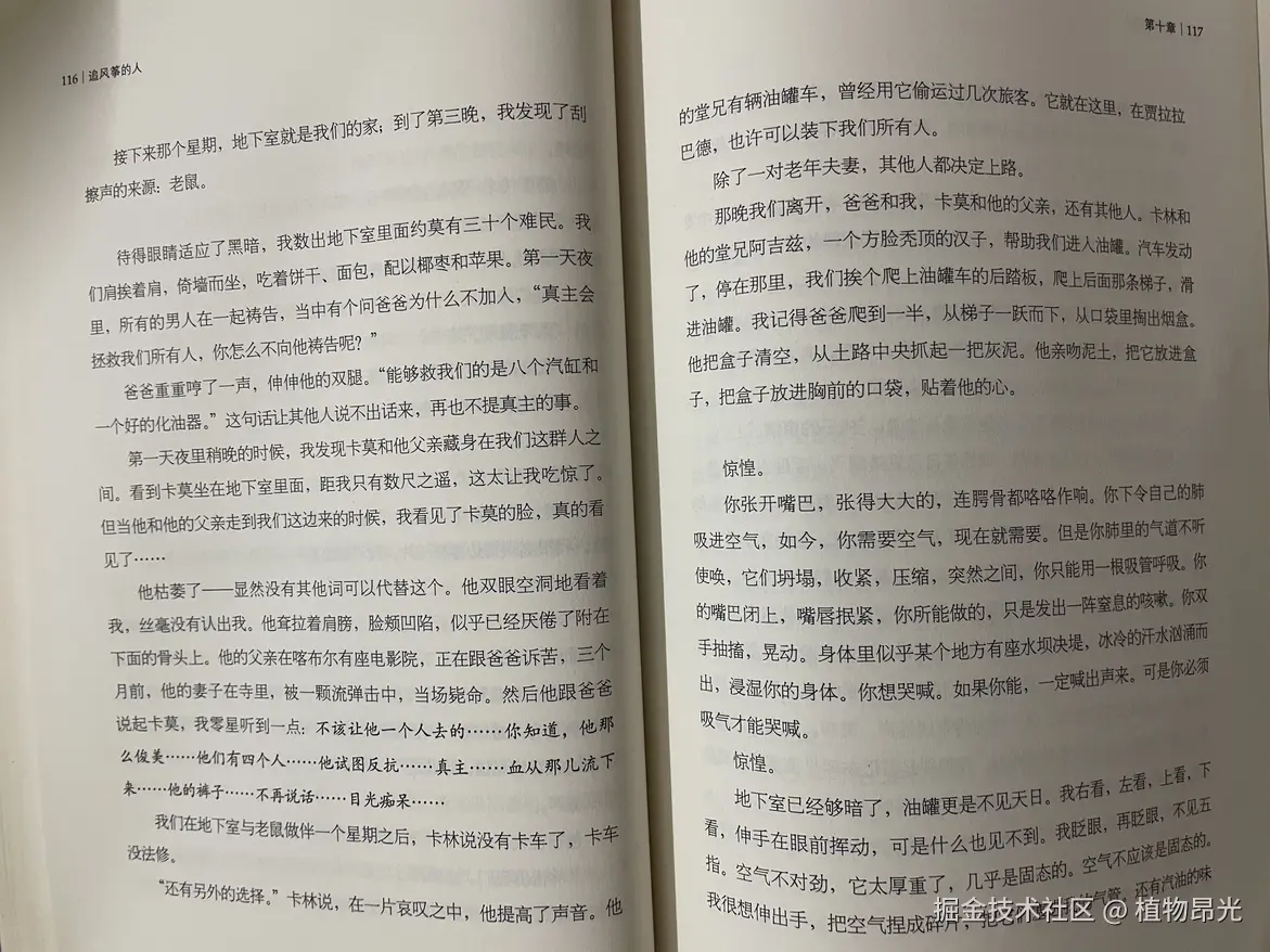 植物昂光于2026-07-24 15:47发布的图片