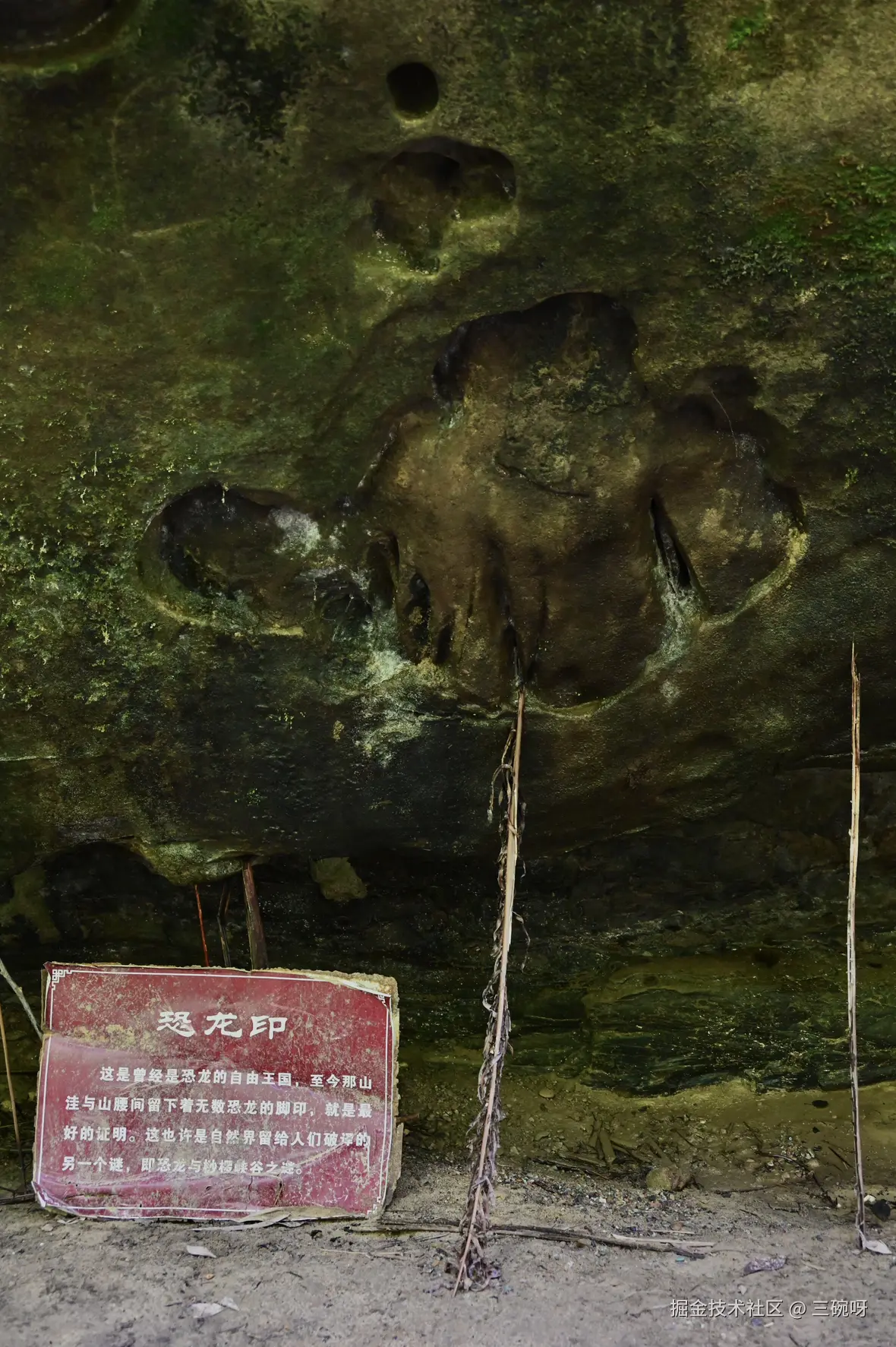 三碗呀于2025-08-18 09:50发布的图片