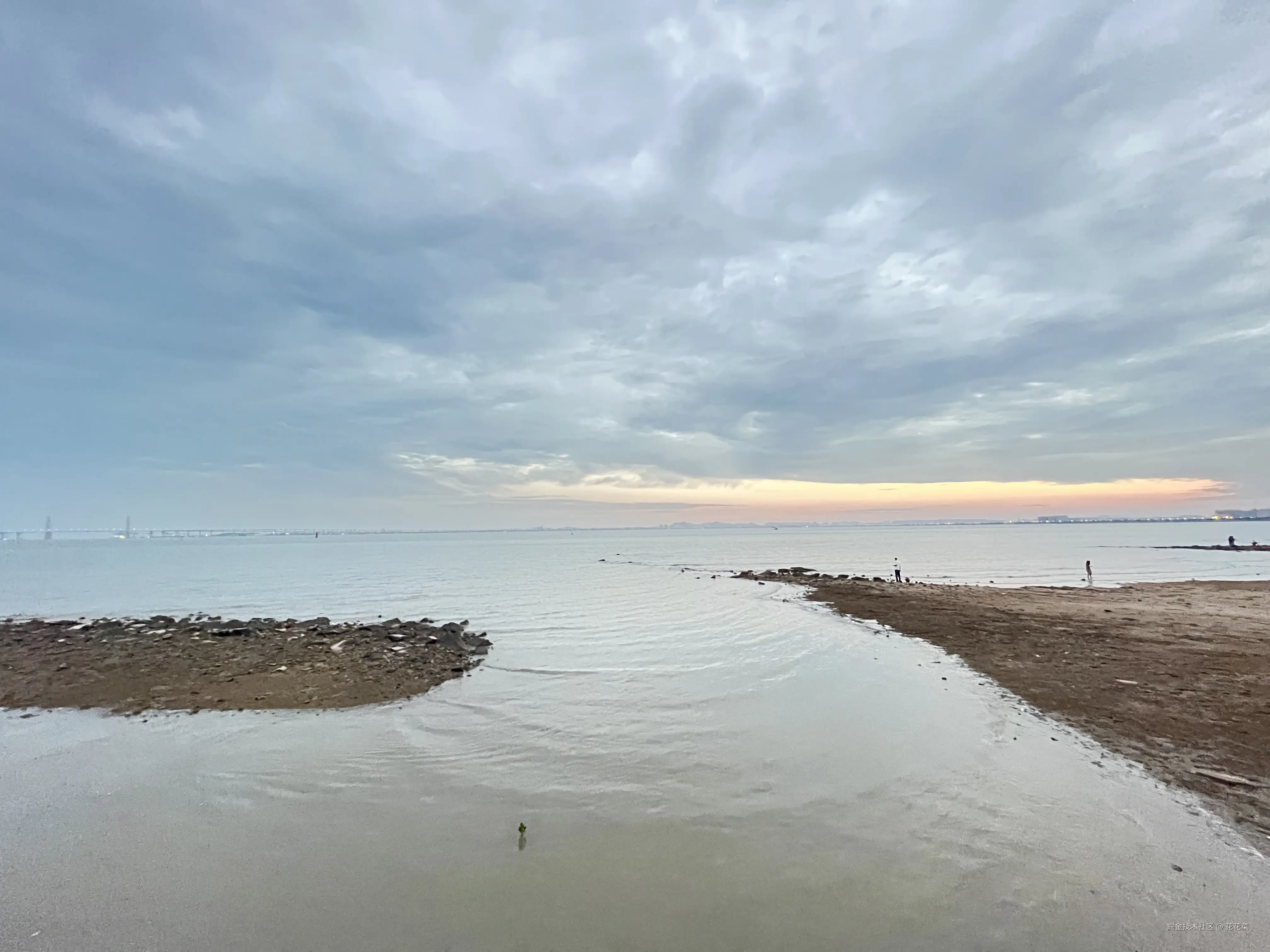 花花菜于2024-11-11 10:13发布的图片