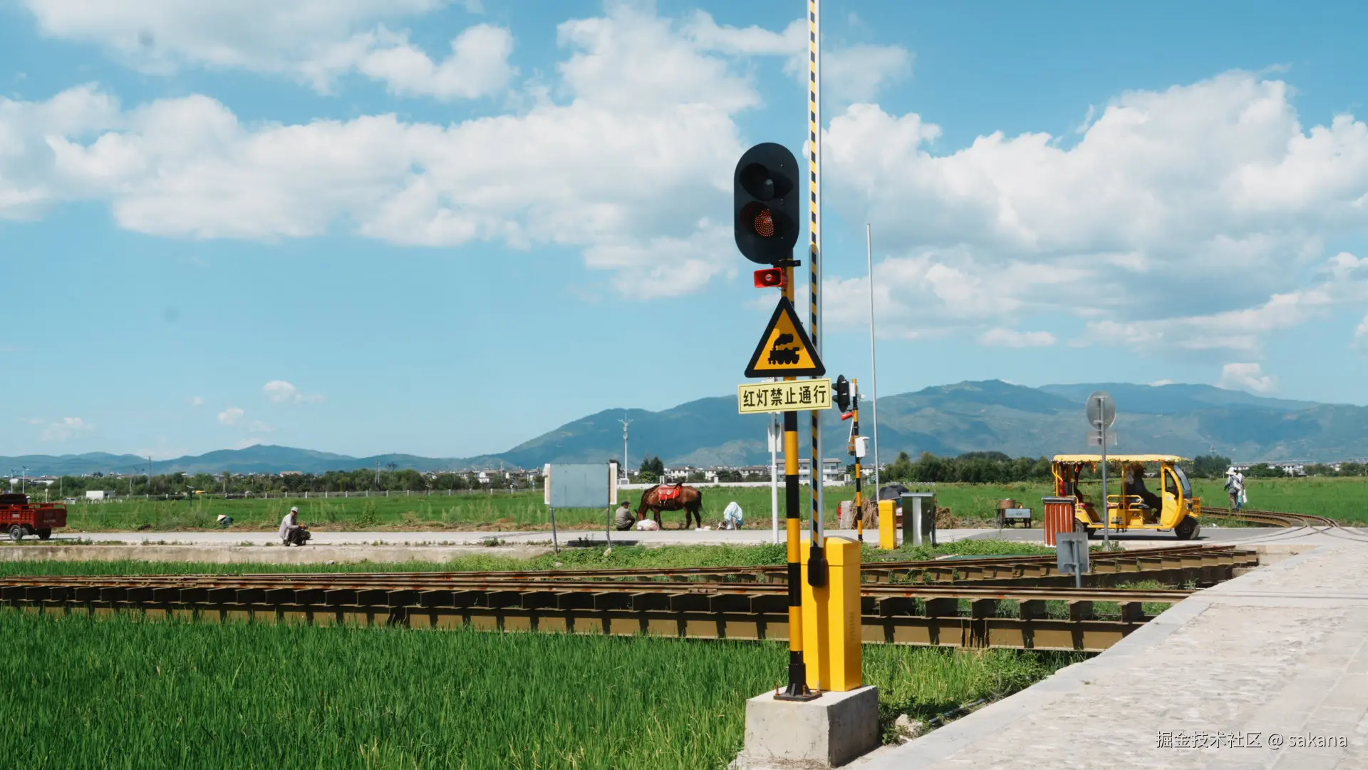 sakana于2024-08-14 16:48发布的图片