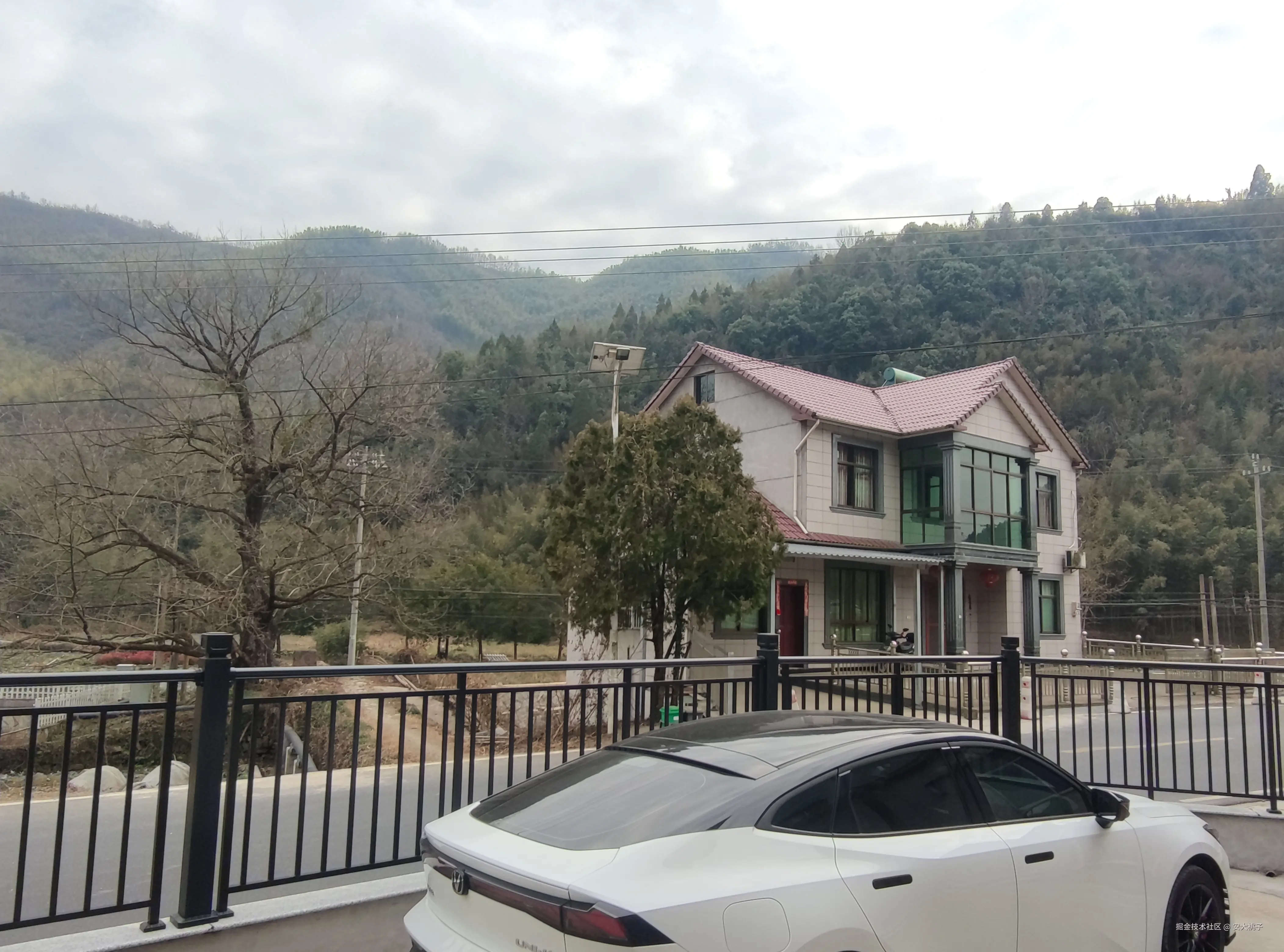 安大桃子于2024-12-31 10:42发布的图片