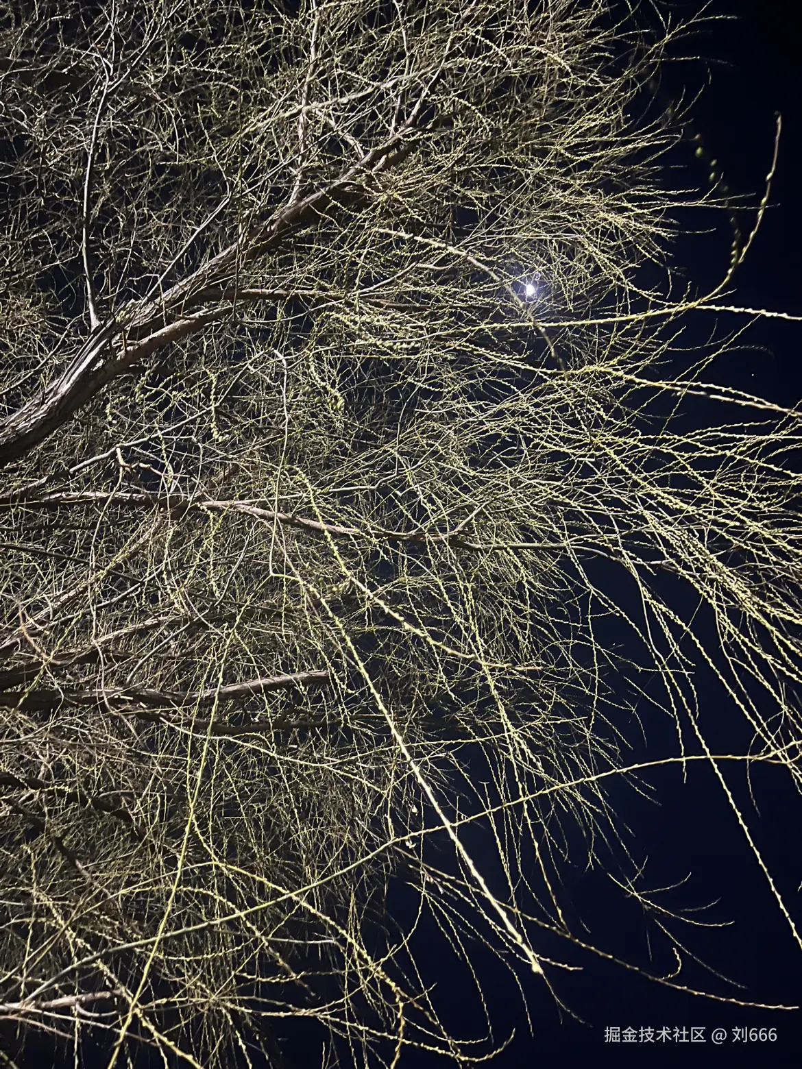 刘666于2025-03-07 19:53发布的图片