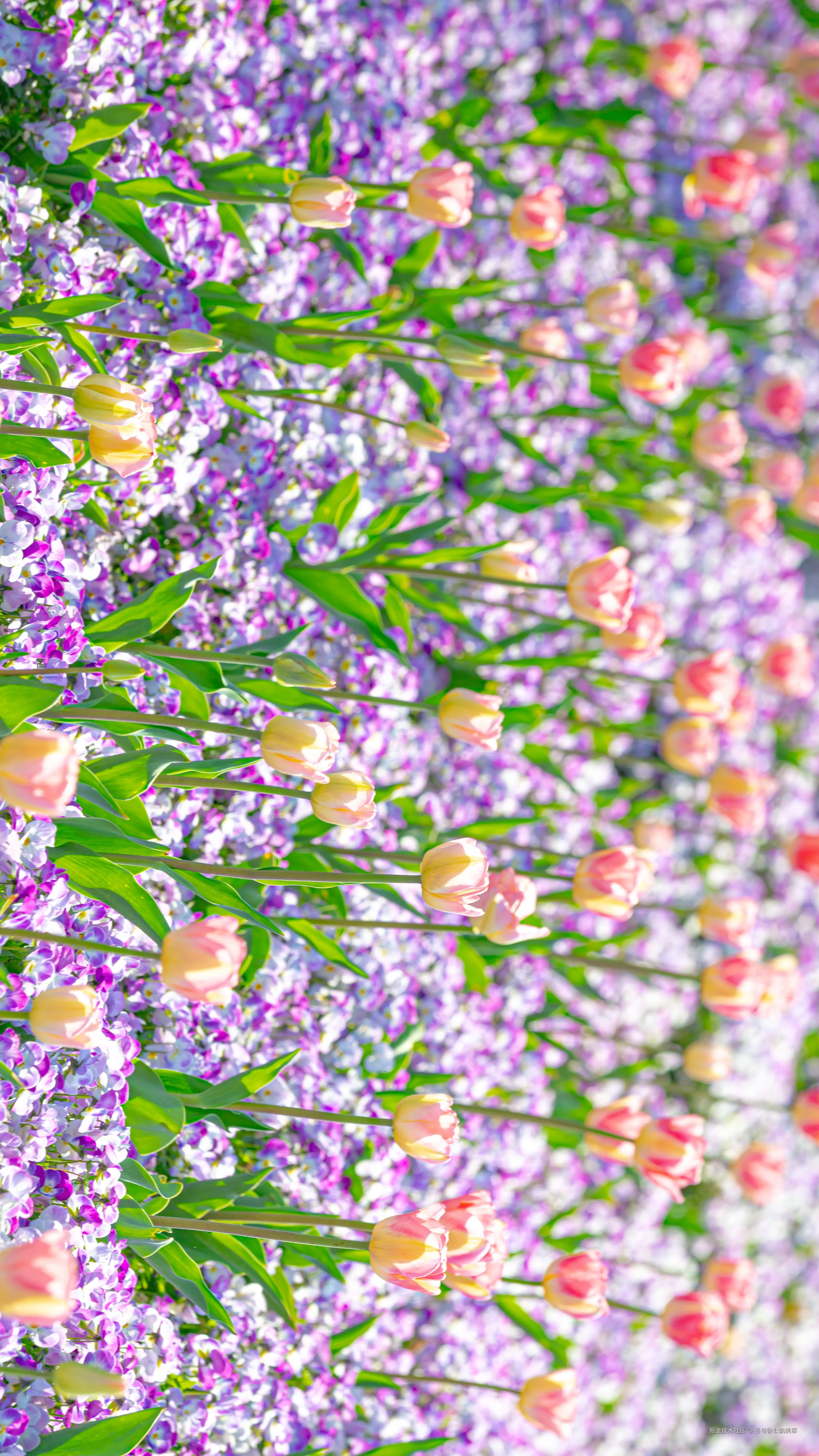 吾与徐公孰美耶于2026-03-25 15:48发布的图片