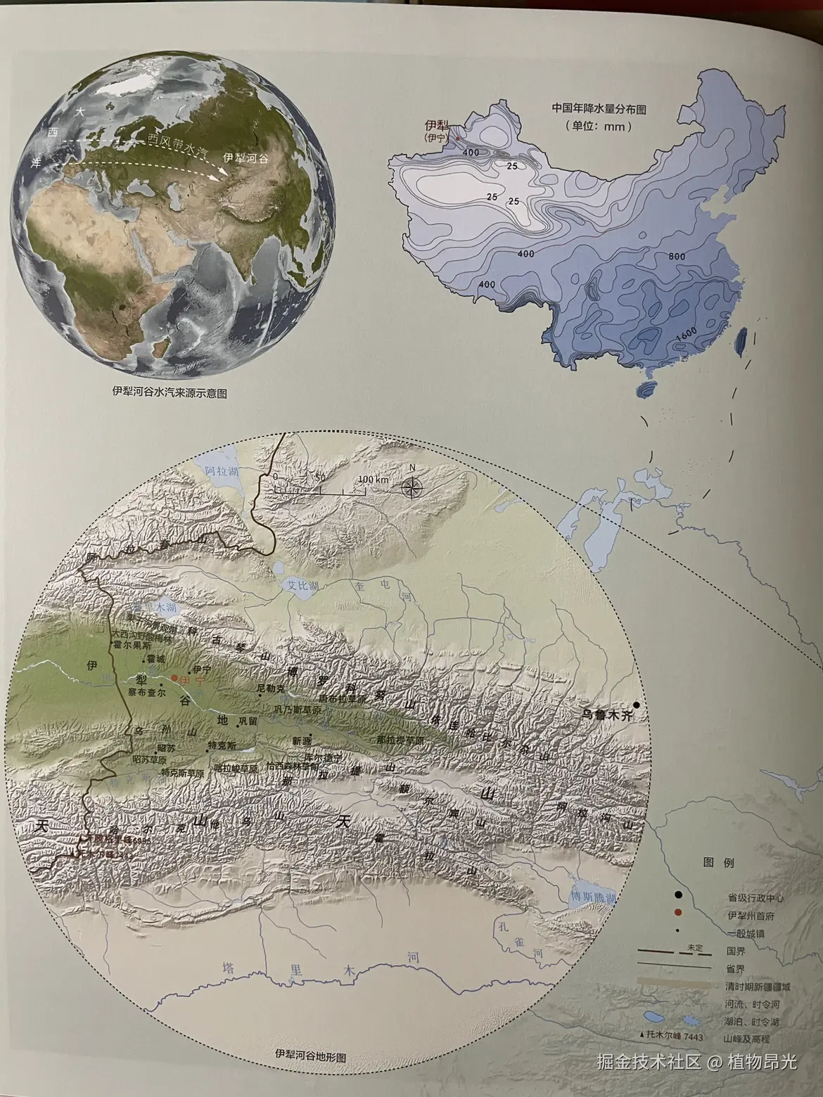 植物昂光于2026-03-18 21:15发布的图片