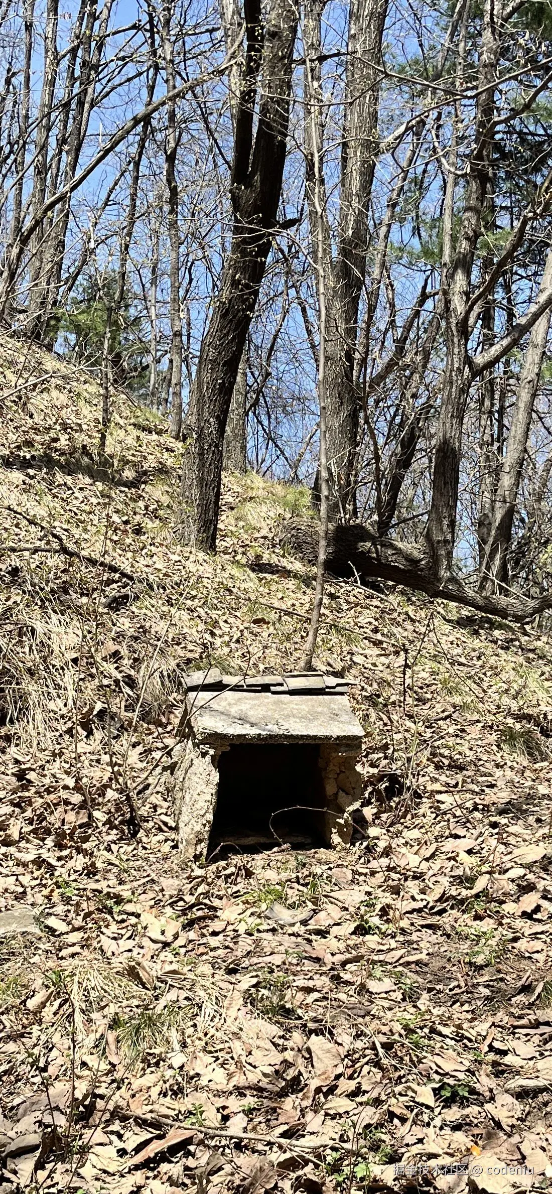 codeniu于2025-04-08 08:33发布的图片