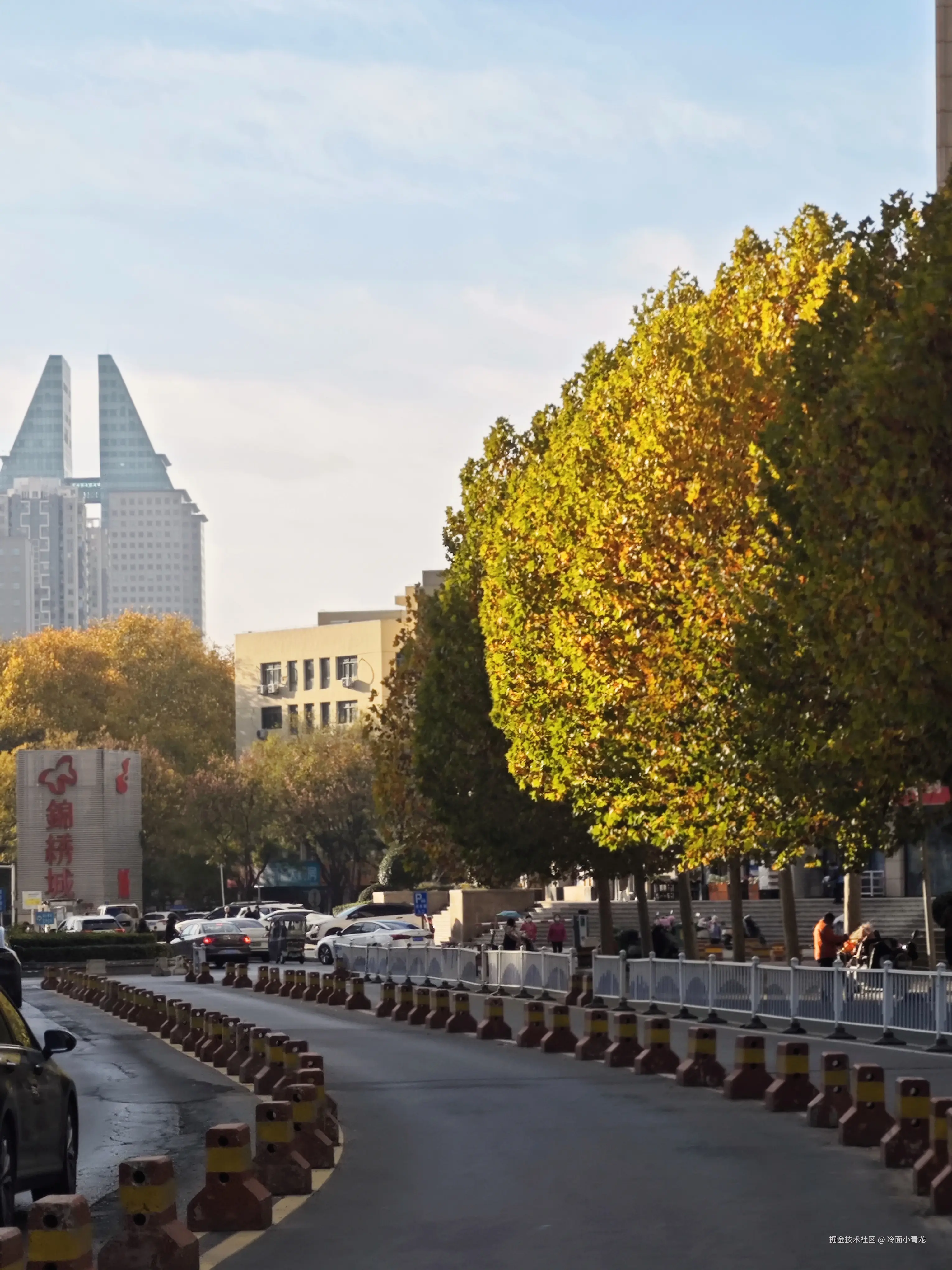 冷面小青龙于2024-11-30 10:34发布的图片