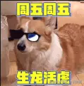 夜航猩于2025-08-08 13:58发布的图片