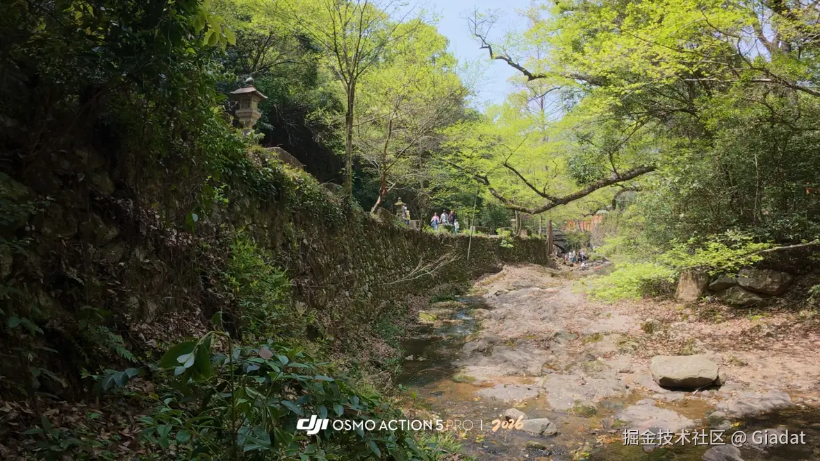 Giadat于2026-01-21 10:00发布的图片