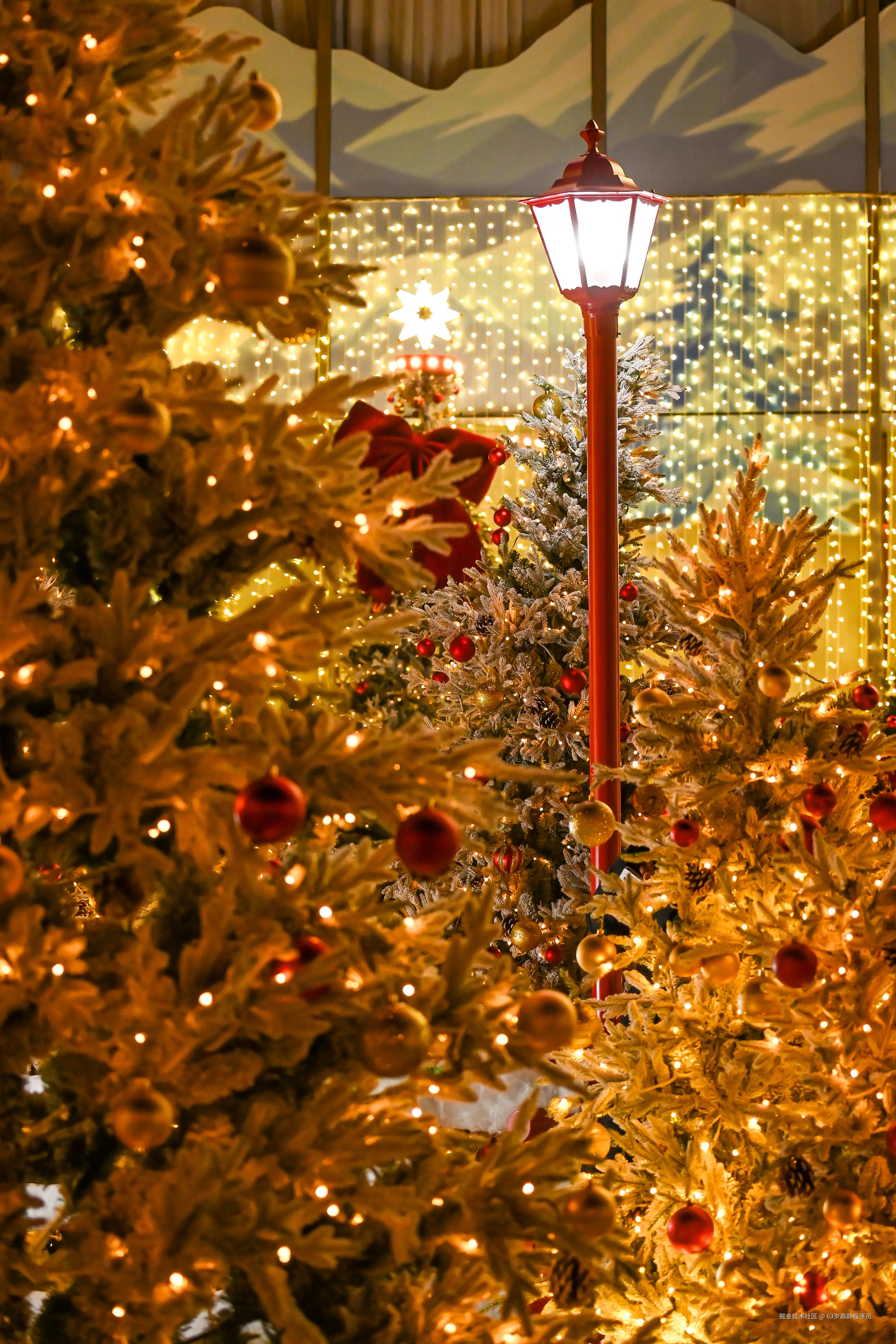 63岁高龄程序员于2025-12-19 09:26发布的图片