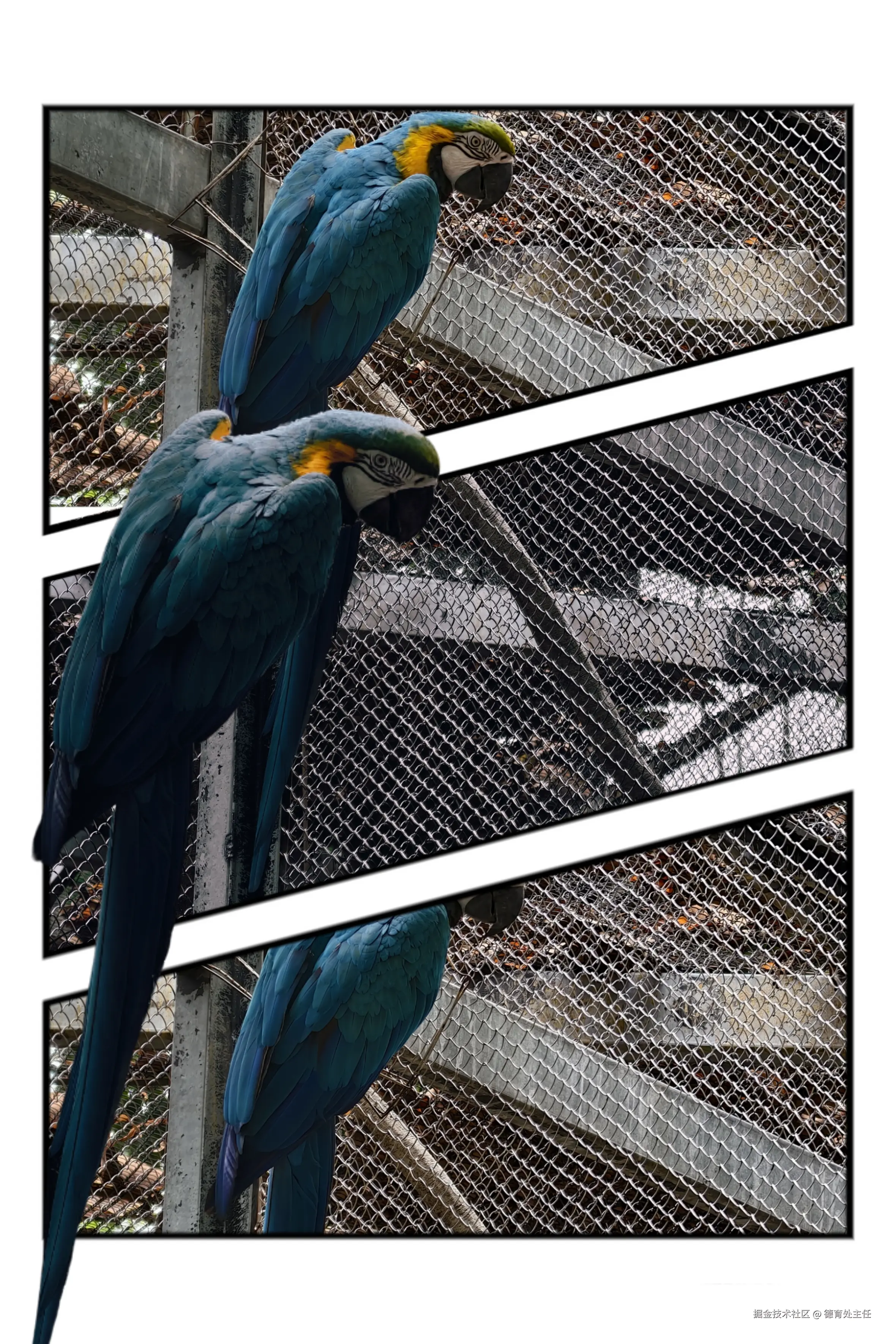 德育处主任于2025-05-10 14:29发布的图片