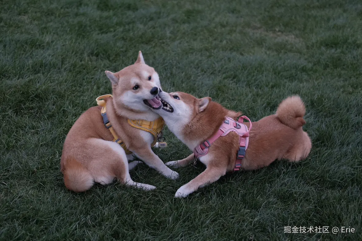 Erie于2024-12-24 10:18发布的图片