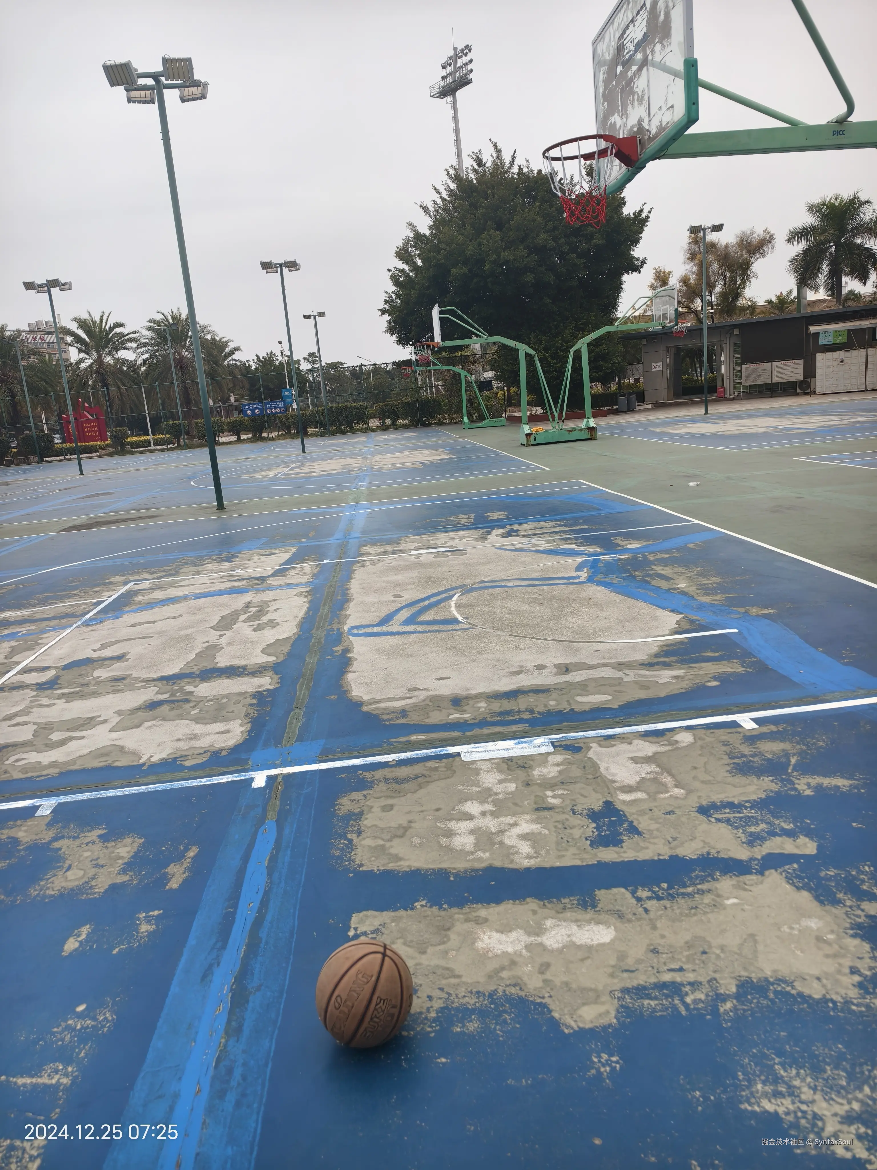 SyntaxSoul于2024-12-25 09:31发布的图片