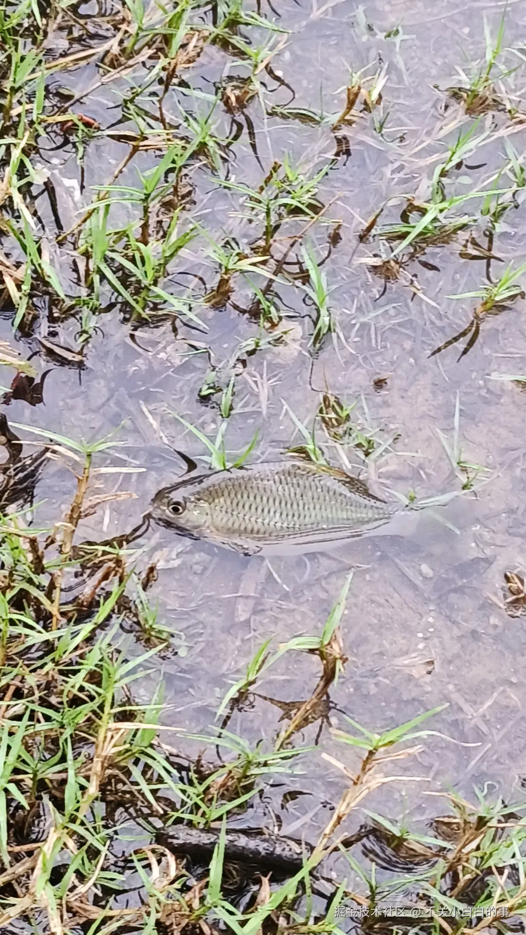 不关小白白的事于2025-10-11 15:29发布的图片