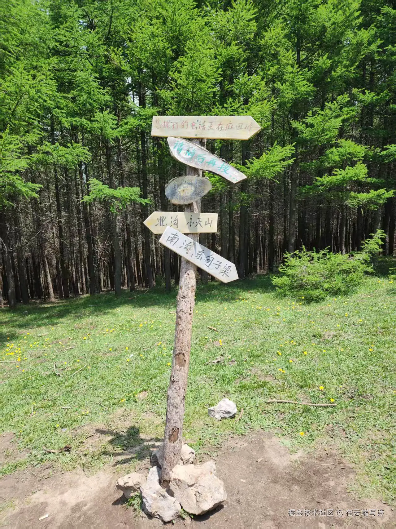 在云端写诗于2025-06-11 09:59发布的图片