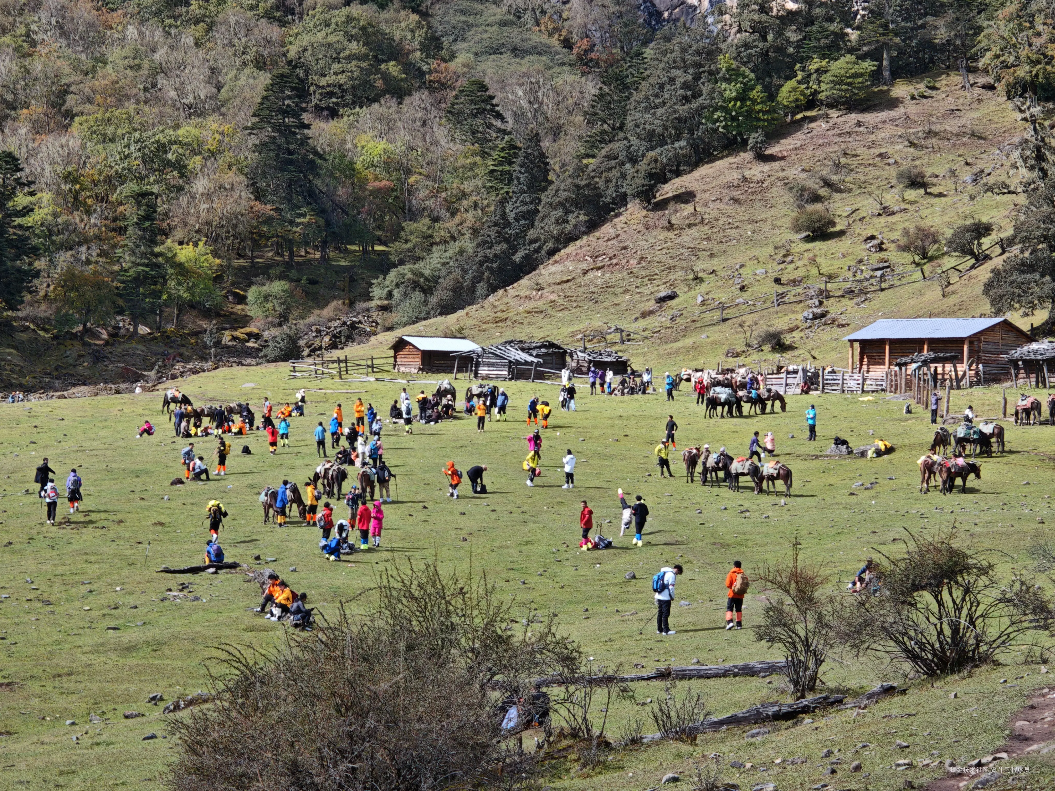 牛马程序员__于2025-10-09 13:51发布的图片