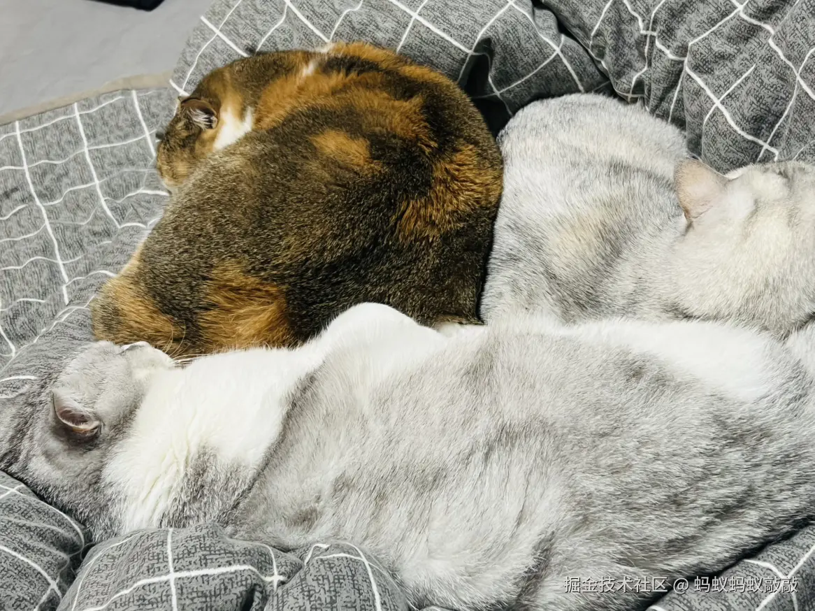 蚂蚁蚂蚁敲敲于2024-12-16 01:31发布的图片