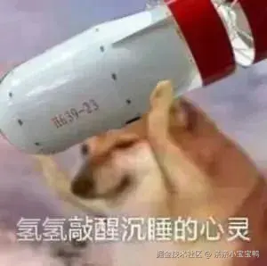 亲亲小宝宝鸭于2025-07-14 03:45发布的图片