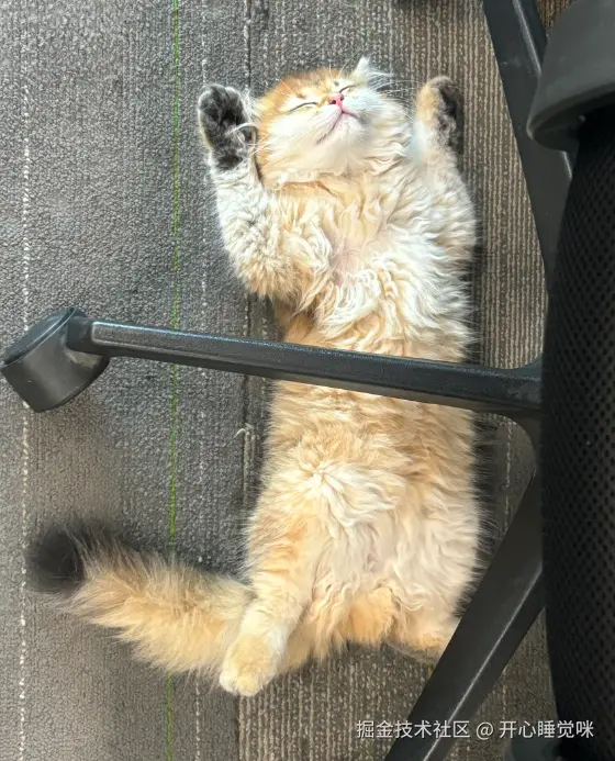 开心睡觉咪于2025-08-15 16:44发布的图片