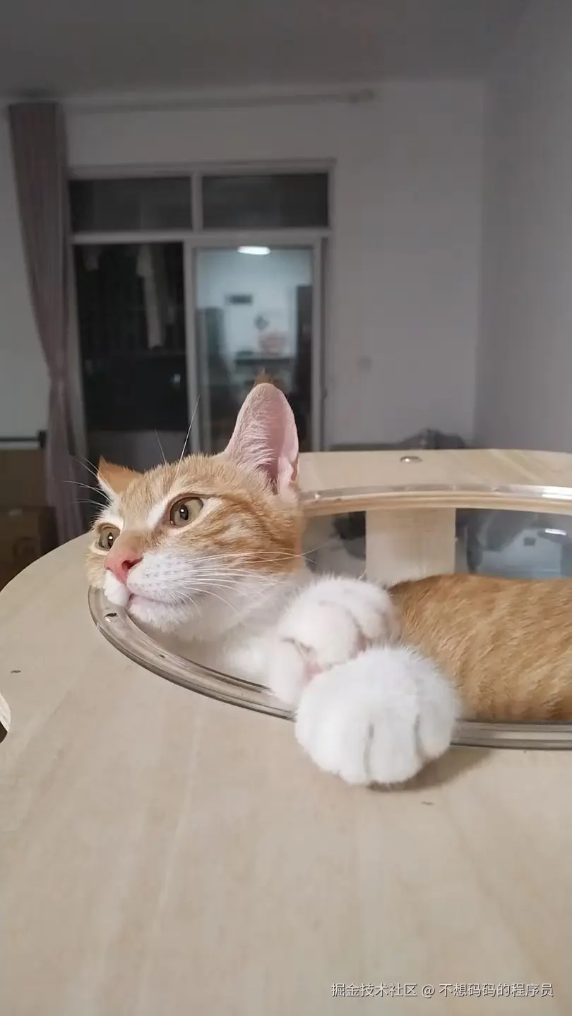 不想码码的程序员于2025-08-12 14:23发布的图片