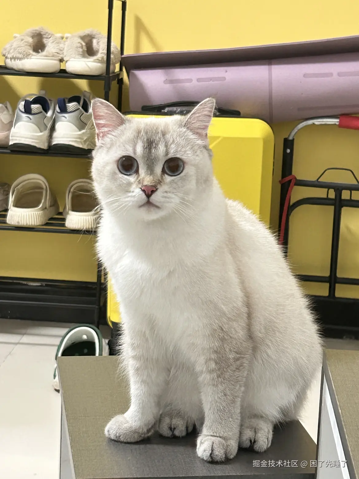 困了先睡了于2025-08-18 09:03发布的图片