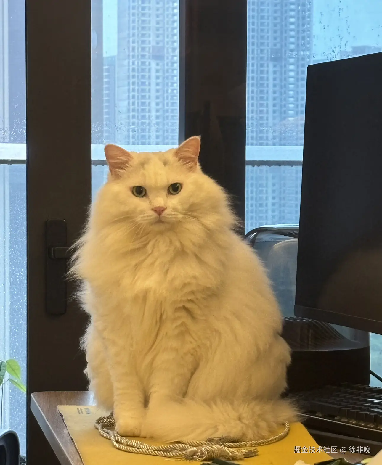 徐非晚于2024-08-13 16:51发布的图片