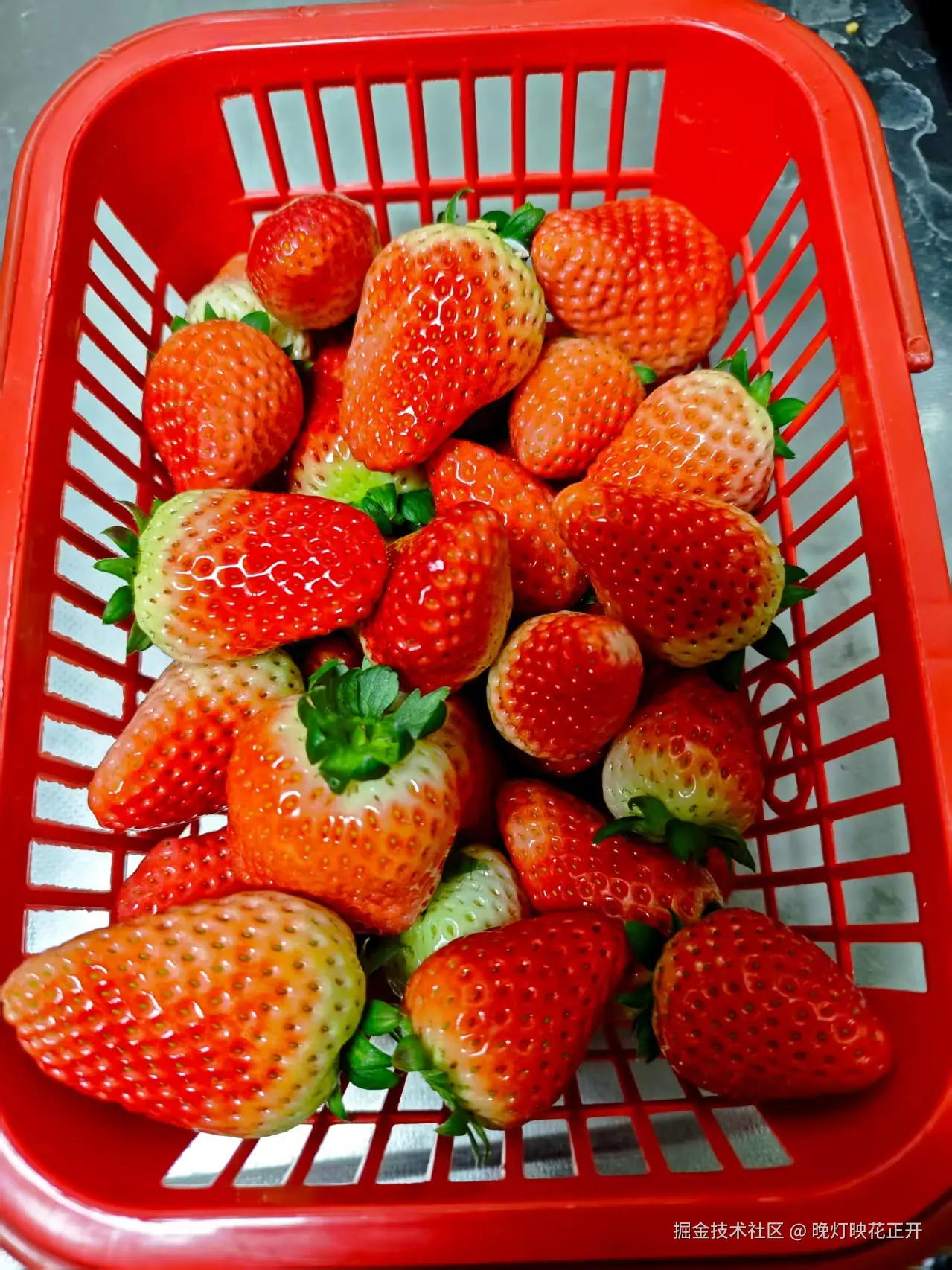 晚灯映花正开于2026-02-13 15:16发布的图片