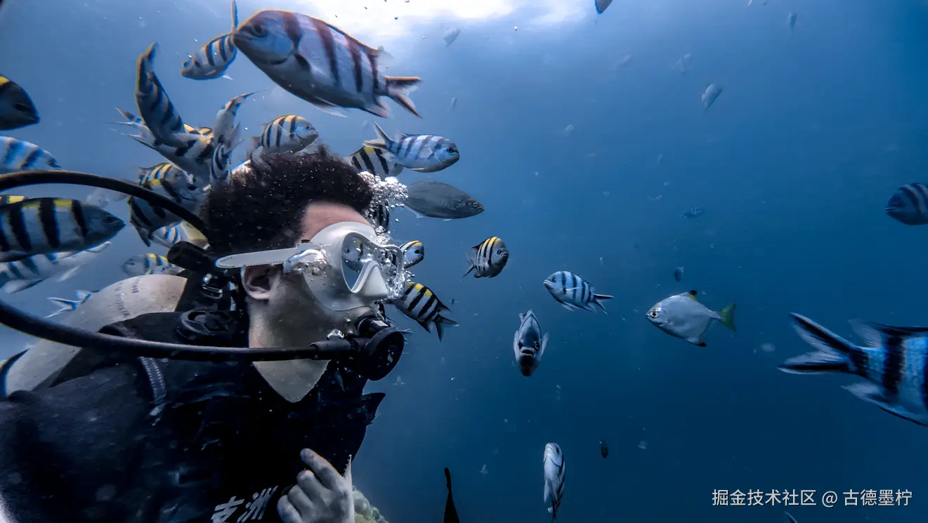 古德墨柠于2025-06-05 03:25发布的图片