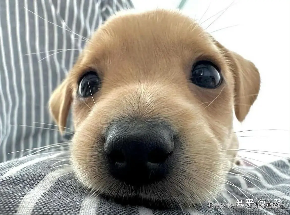 你好温柔吖于2025-05-16 07:41发布的图片