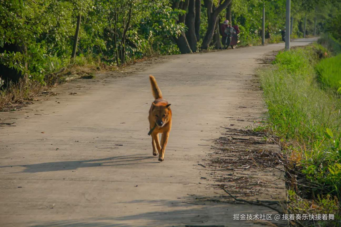 接着奏乐快接着舞于2024-09-26 00:54发布的图片