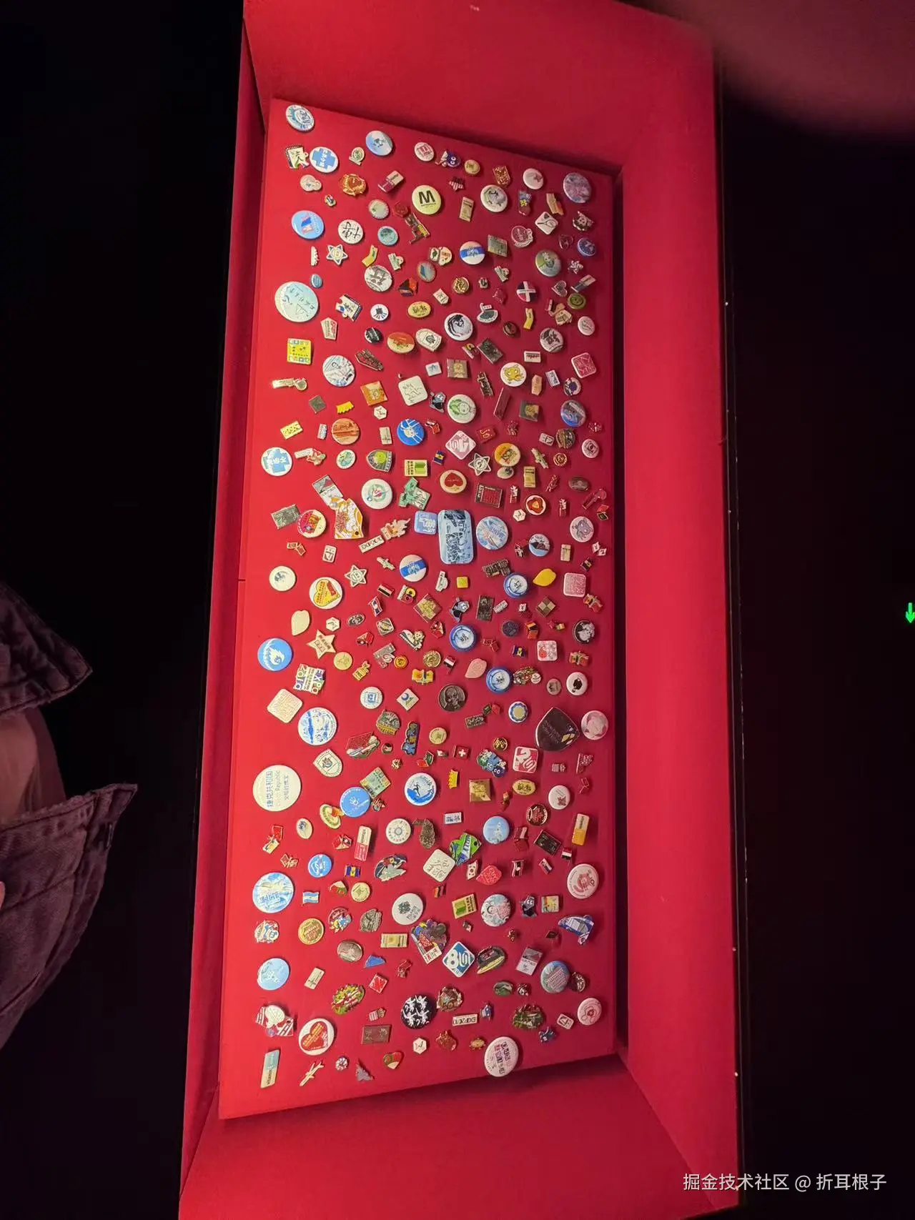 折耳根子于2026-03-23 15:11发布的图片