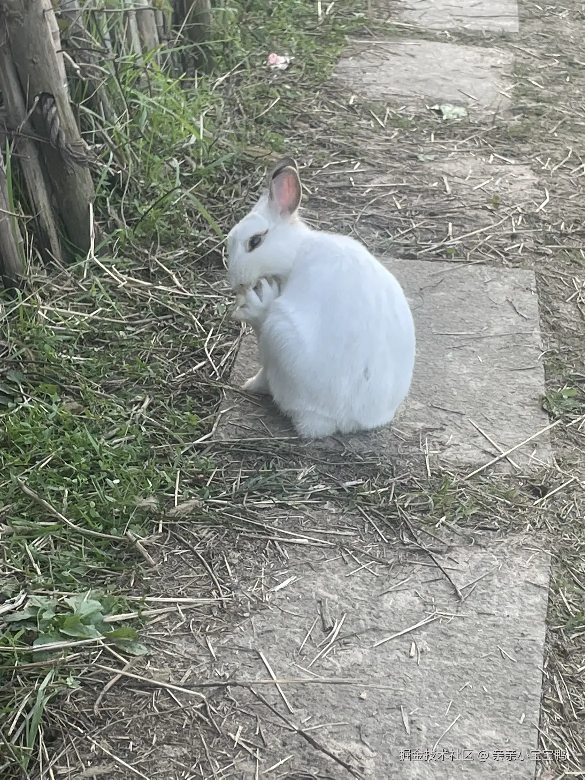 亲亲小宝宝鸭于2025-11-17 15:17发布的图片